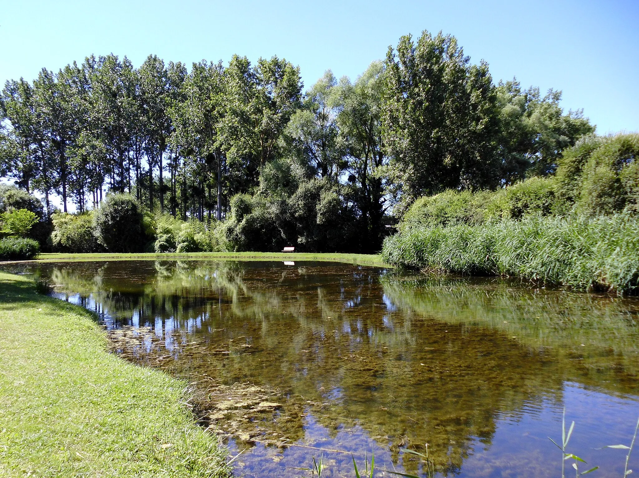 Photo showing: Marcé -Maine-et-Loire - France. Étang rue de la Fontaine.