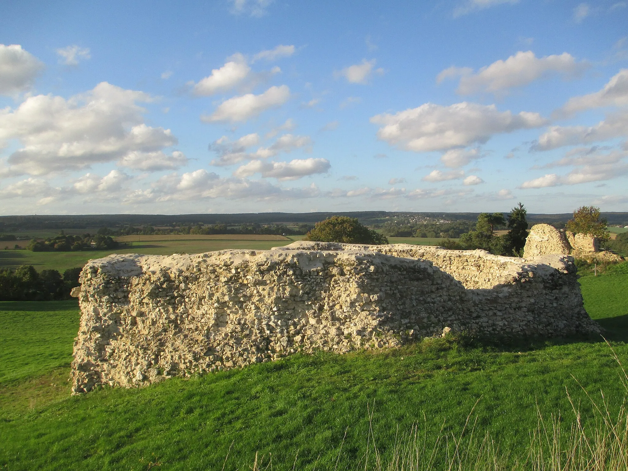 Photo showing: Ruines du château de Saint-Rémy-du-Val, dans la Sarthe.