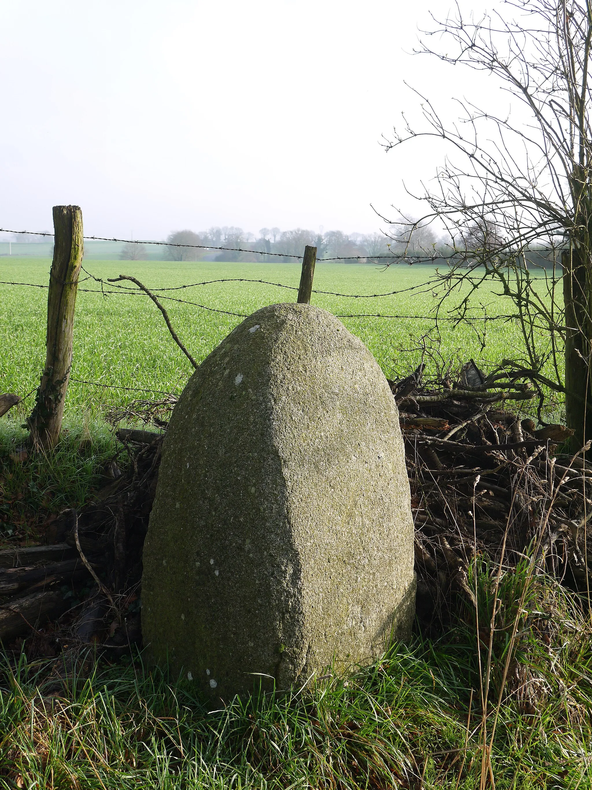 Photo showing: La stèle gauloise.