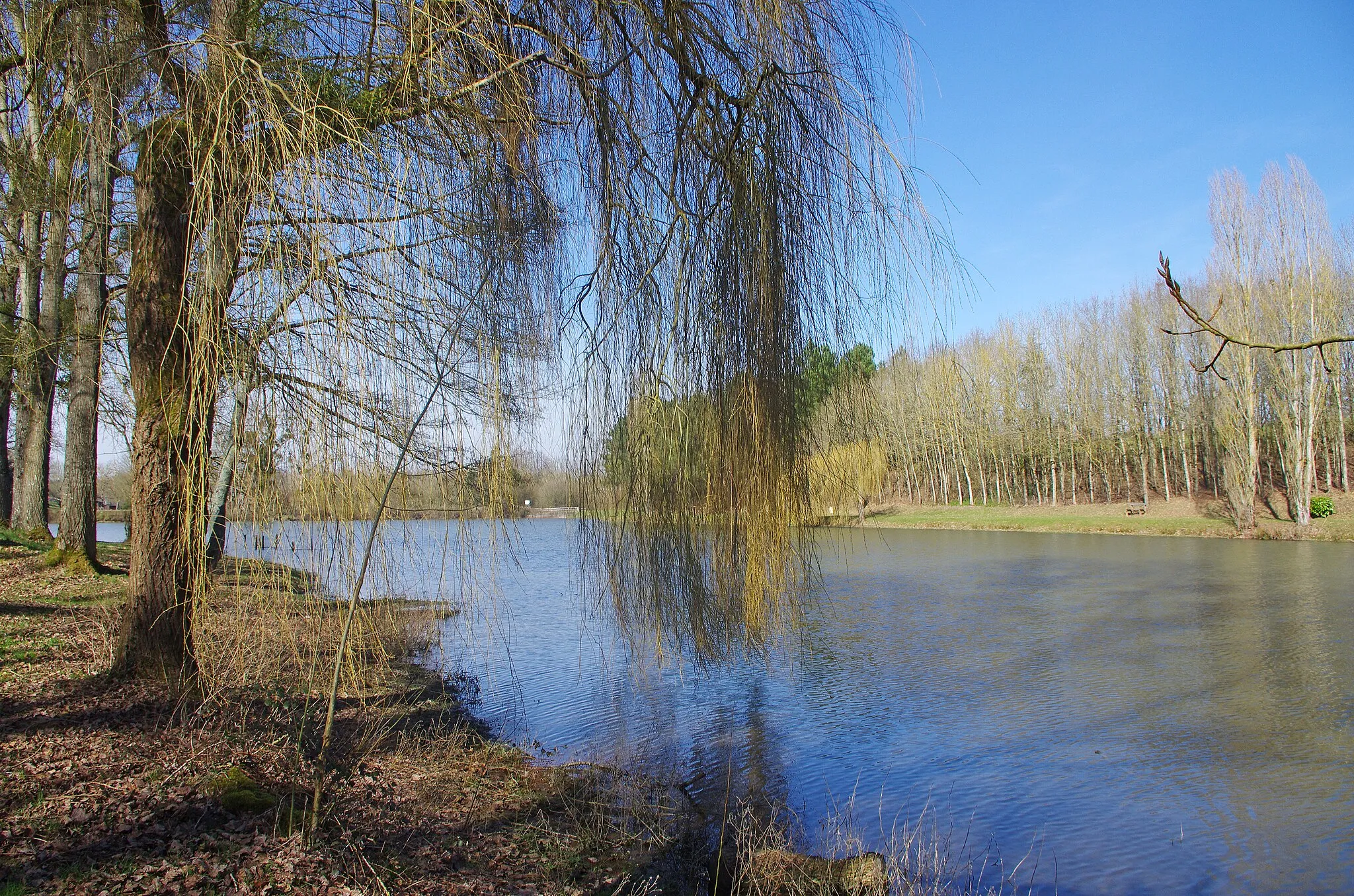 Photo showing: Choue (Loir-et-Cher)
Le plan d'eau.

Etang public de 3 ha sur le ruisseau le Couraillon.