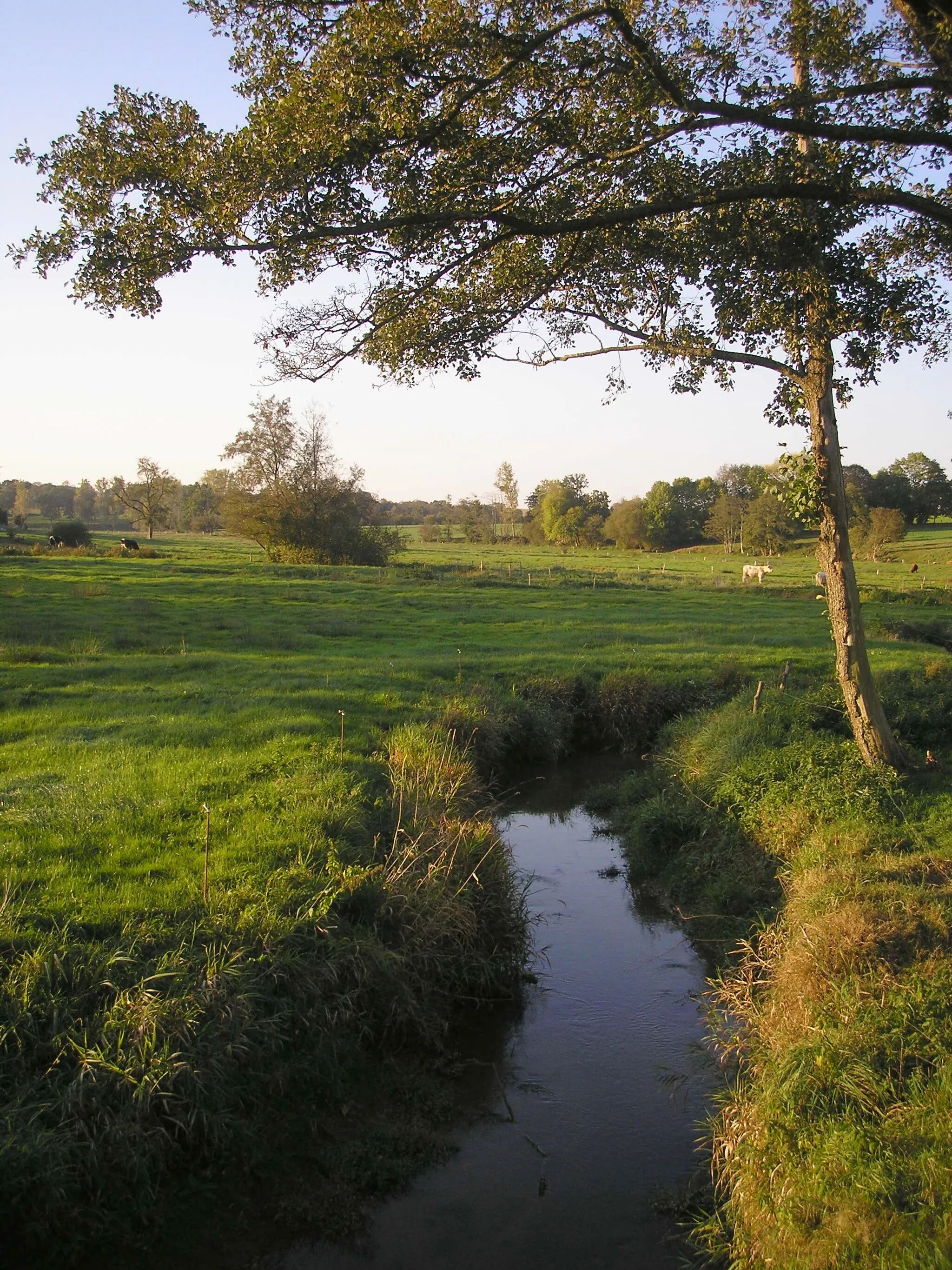 Photo showing: La Colmont entre Désertines, à gauche (Pays de la Loire, France), et Mantilly, à droite (Normandie, France).