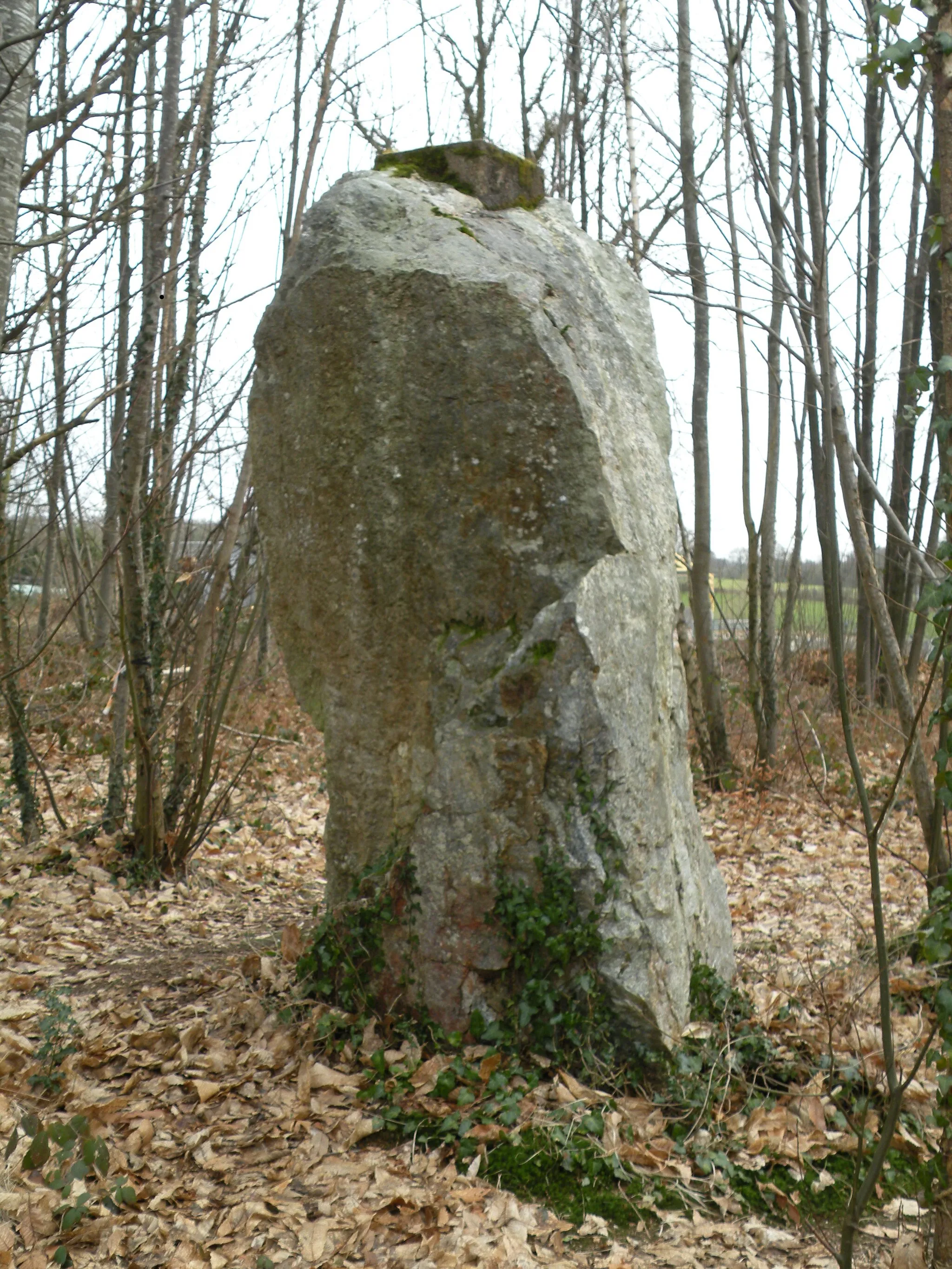 Photo showing: Drouetterie menhir in Vay, Loire-Atlantique