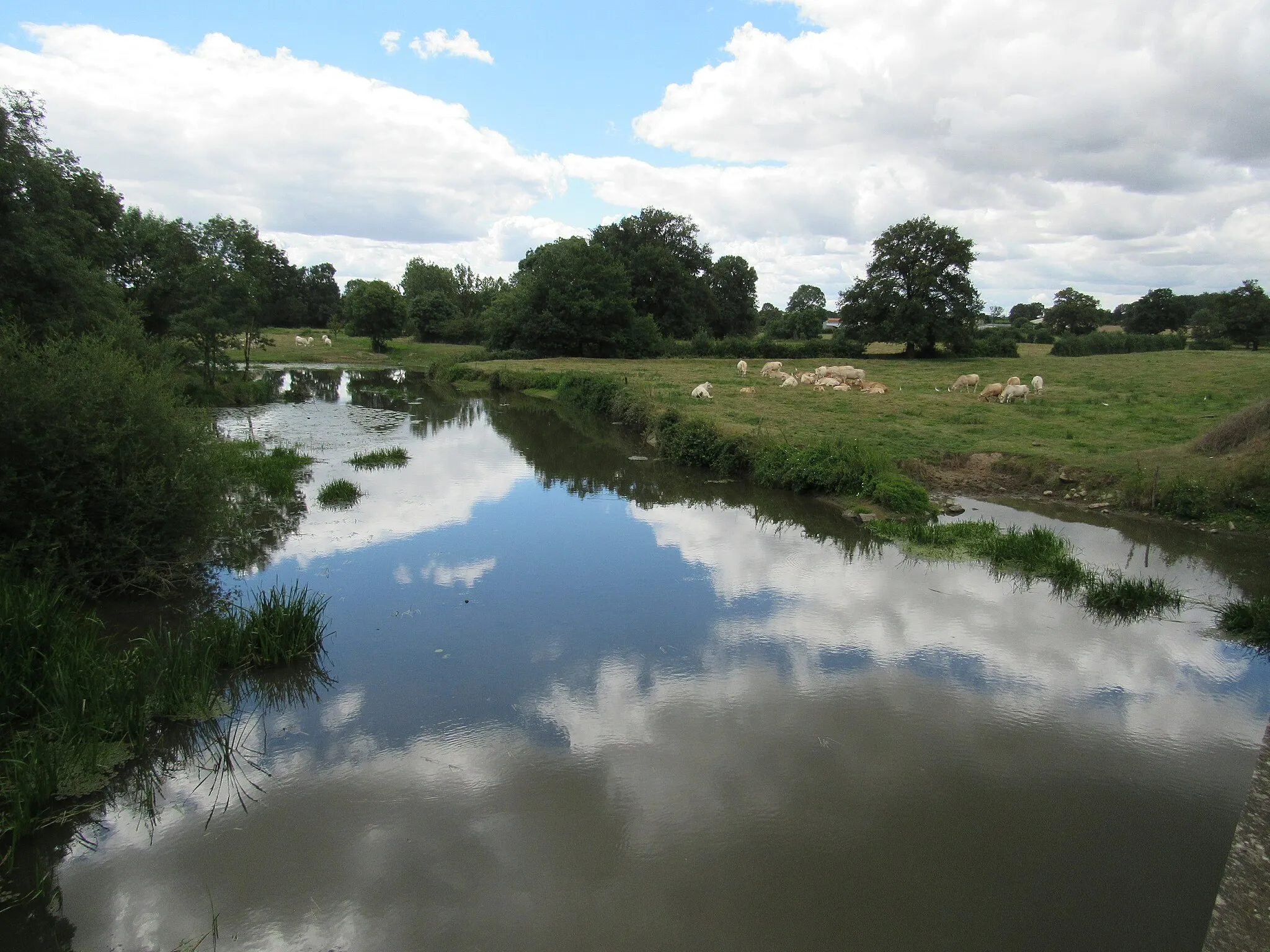 Photo showing: La Sèvre Nantaise à Saint-Amand