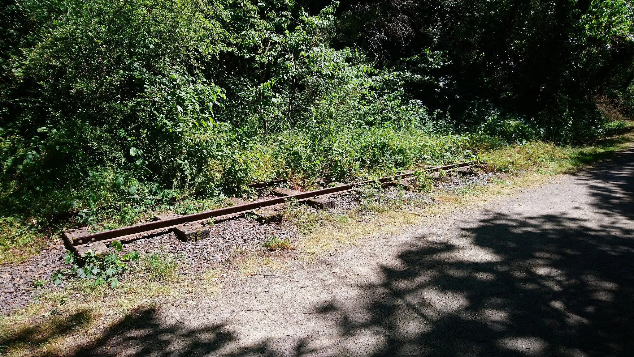 Photo showing: Vestiges de la voie métrique de l'ancienne ligne du Petit Anjou (1893-1948) aménagée en chemin de randonnée, Fr-44 Le Loroux-Bottereau