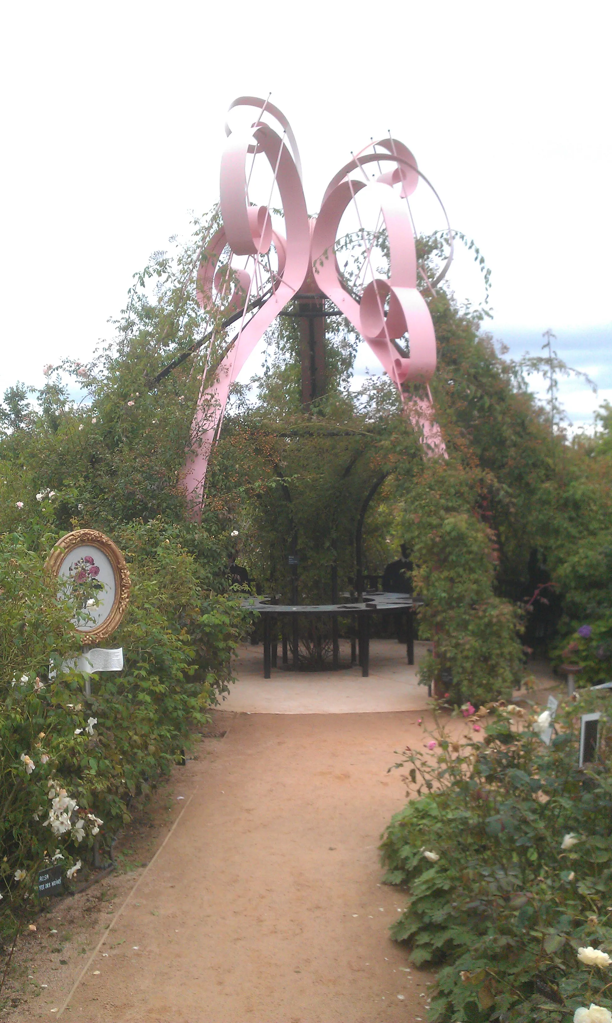 Photo showing: Bouton de rose du parc Terra Botanica