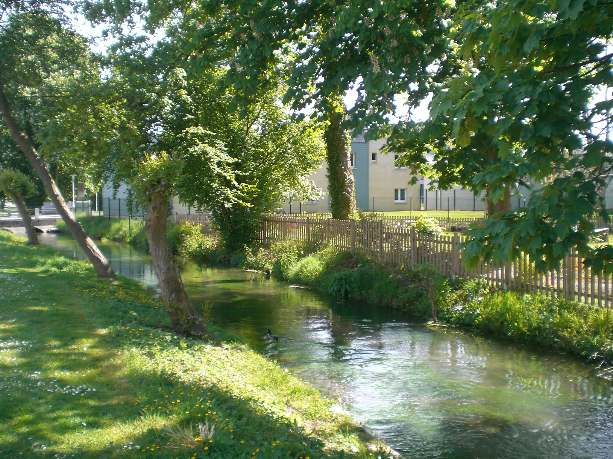 Photo showing: l'Airaines à Longpré-les-Corps-Saints en mai 2010