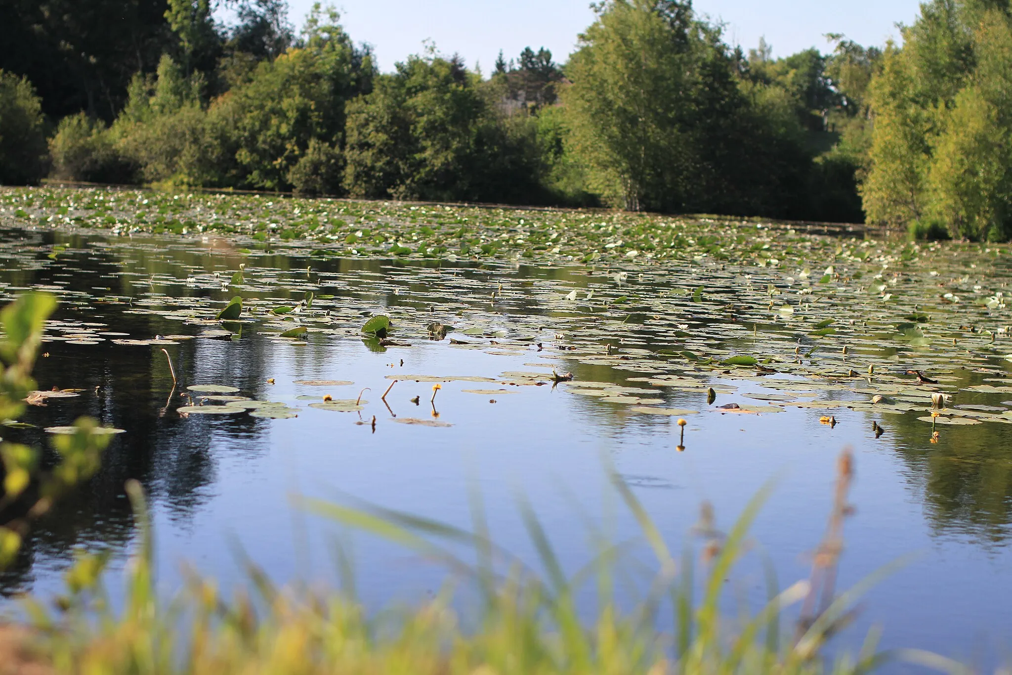 Photo showing: Etangs de Hailles - Thezy Glimont