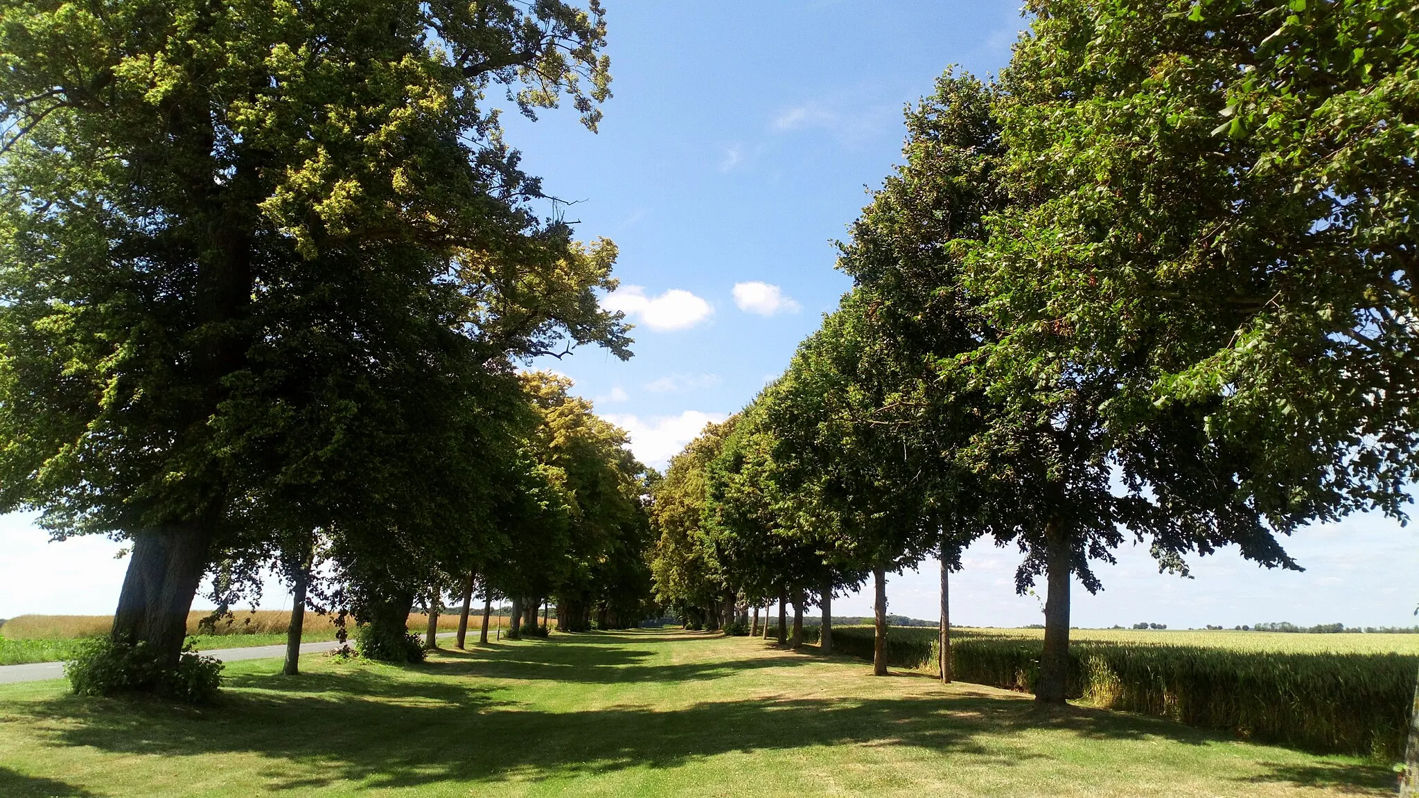 Photo showing: Villers-aux-Érables, allée des Tilleuls 30