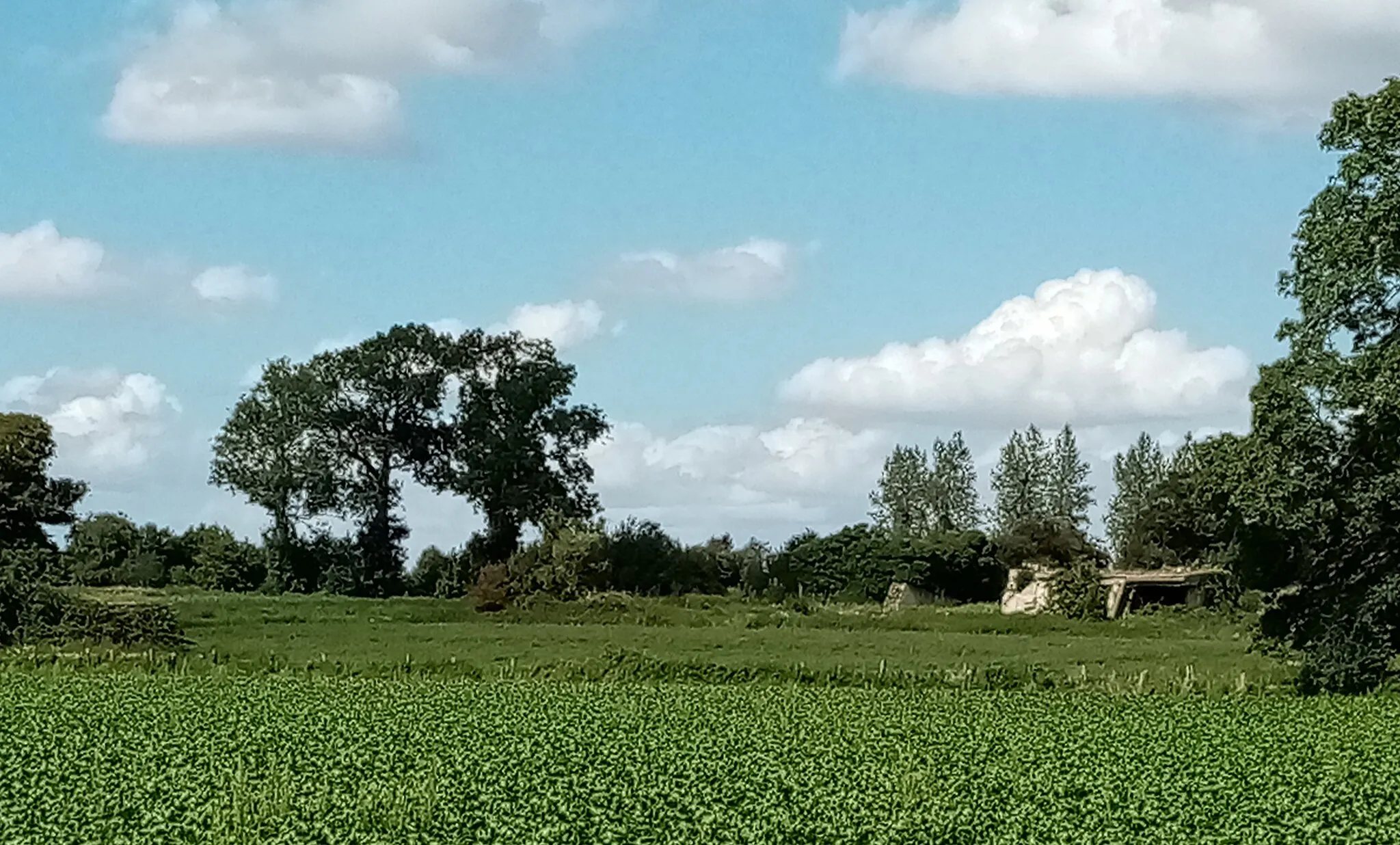 Photo showing: Maison-Ponthieu, Somme, France, ruines du site de lancement de V1.