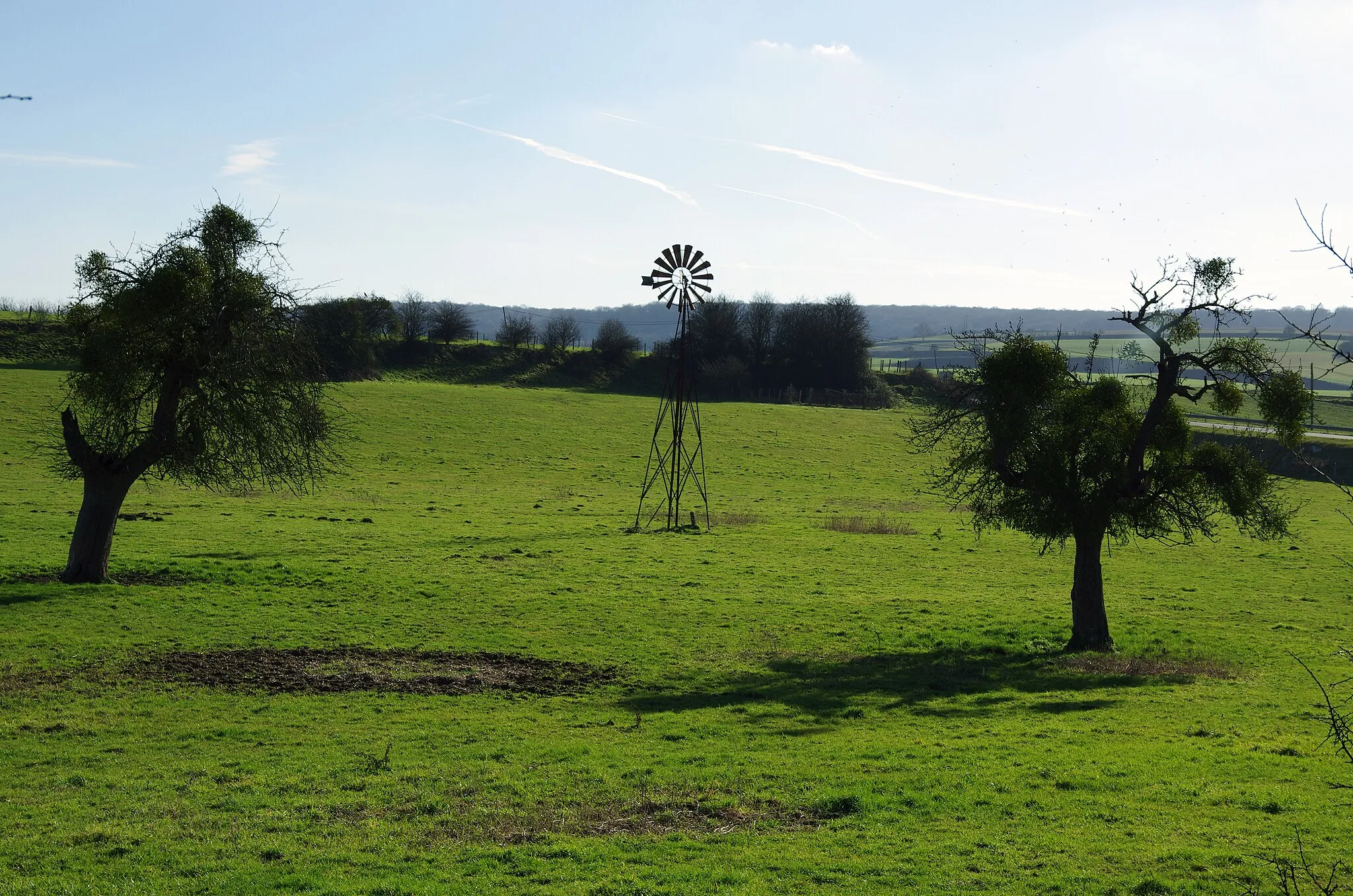 Photo showing: Monchaux-Soreng (Seine-Maritime, France) -

Éolienne entre 2 pommiers.