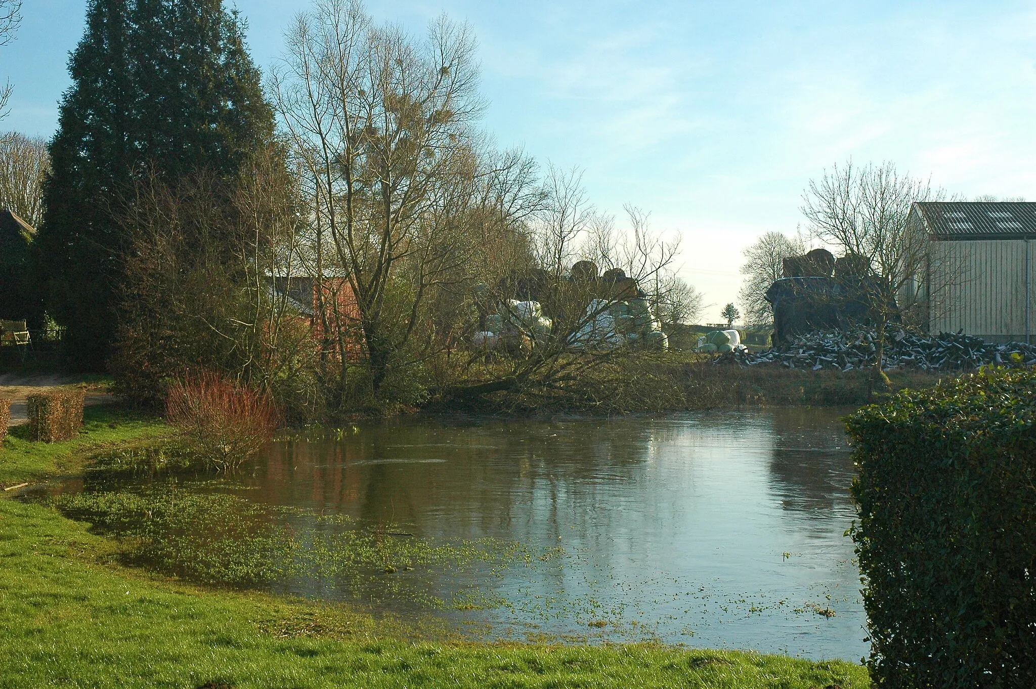 Photo showing: Saint-Pierre-des-Jonquières (Seine-Maritime, France).

La mare.