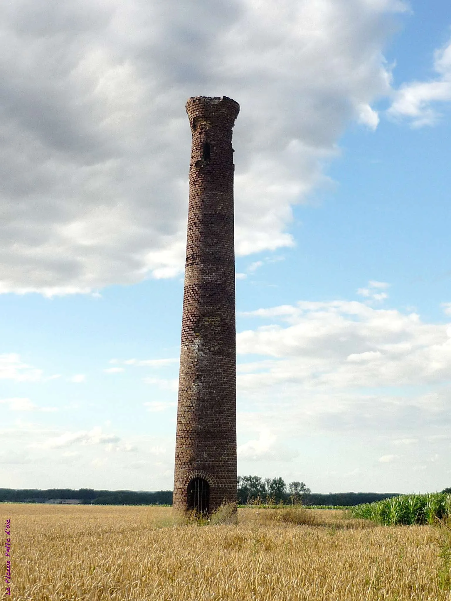 Photo showing: Au milieu d'un champ de blé