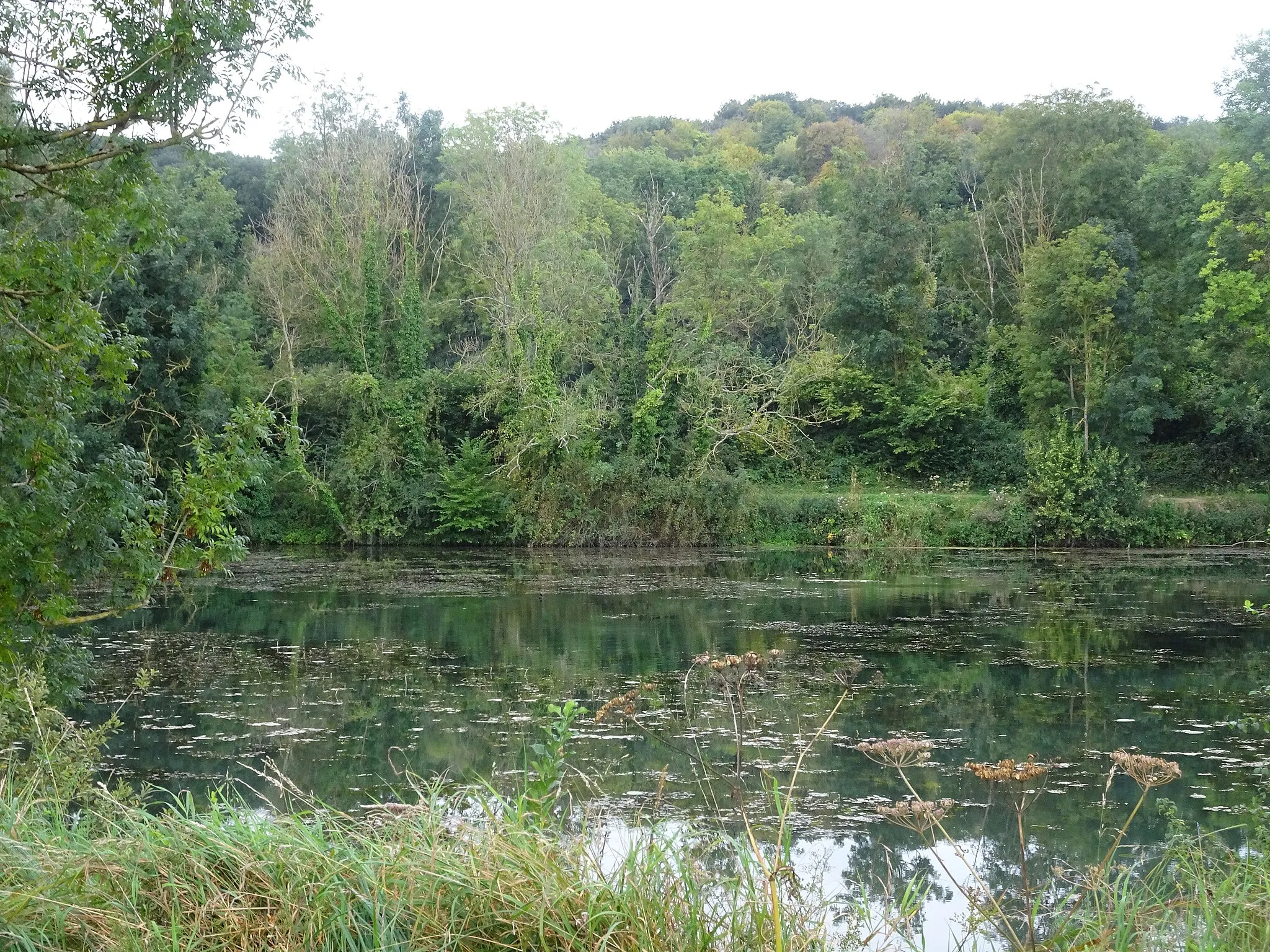 Photo showing: Les étangs du vus camping d' Incheville, Seine-Maritime, France