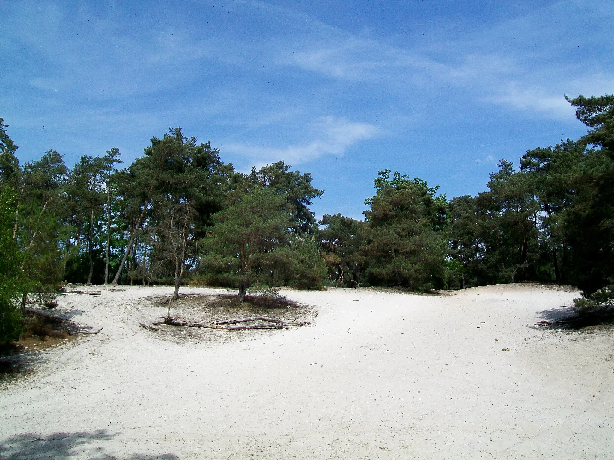 Photo showing: La butte aux Gens d'Armes dans la forêt de Pontarmé (103 m au-dessus du niveau de la mer), dune de sable unique dans le massif forestier de Chantilly, mais non comparable à la Mer de Sable (aujourd'hui parc d'attractions) dans la forêt limitrophe d'Ermenonville.
