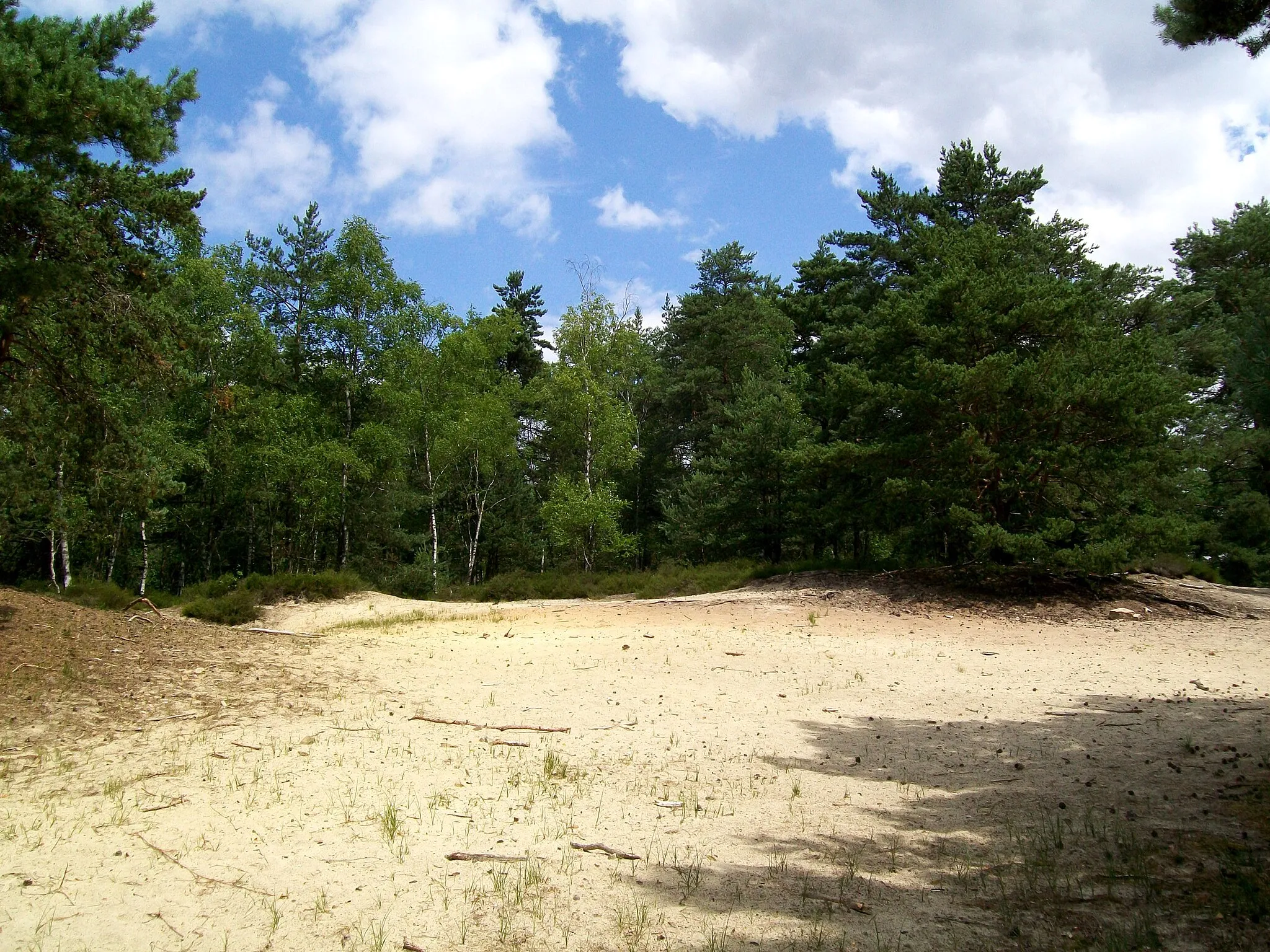 Photo showing: Le Trou de Sable, près de Thiers-sur-Thève ; c'est une ancienne carrière de sable.