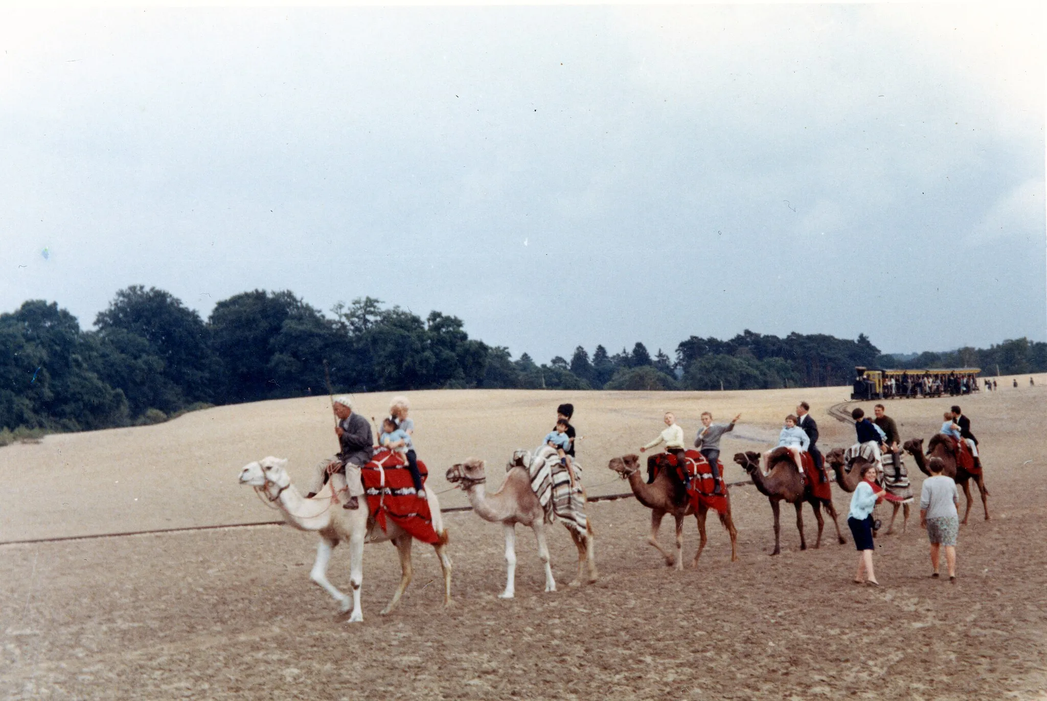 Photo showing: Photo restaurée promenade en chameaux à La Mer De Sable en 1966