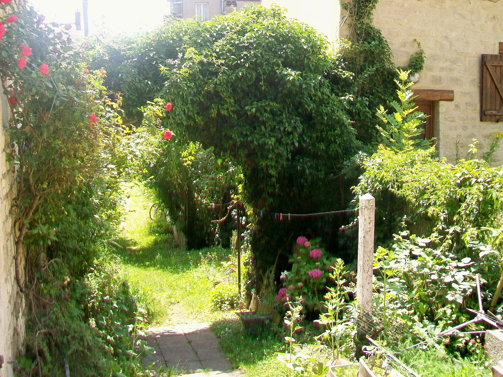 Photo showing: Ancienne porte de la ferme de Montmaur, cachée sous les lierres.