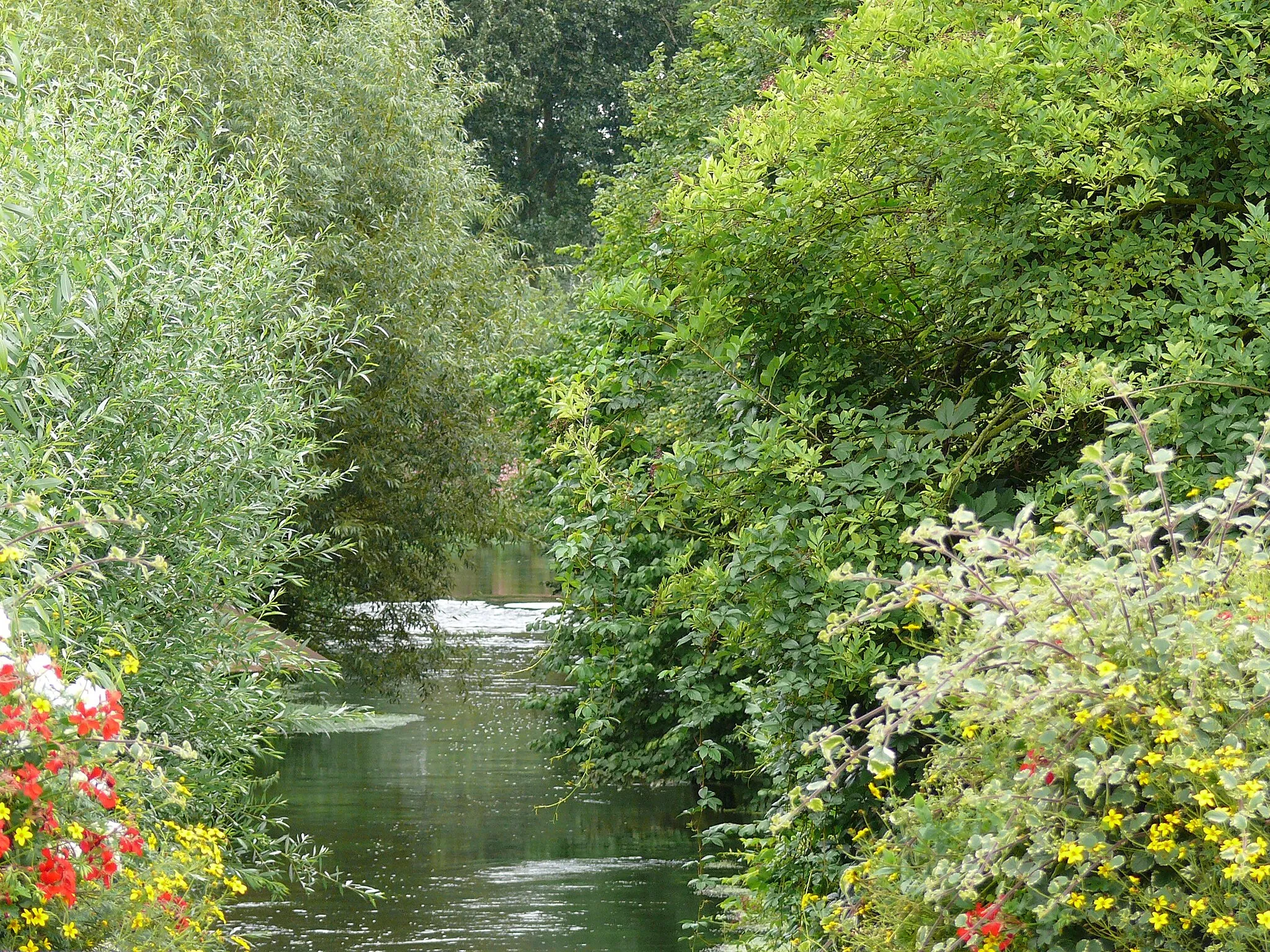 Photo showing: L'Avre (affluent de la Somme) à Moreuil (Somme, Picardie, France)