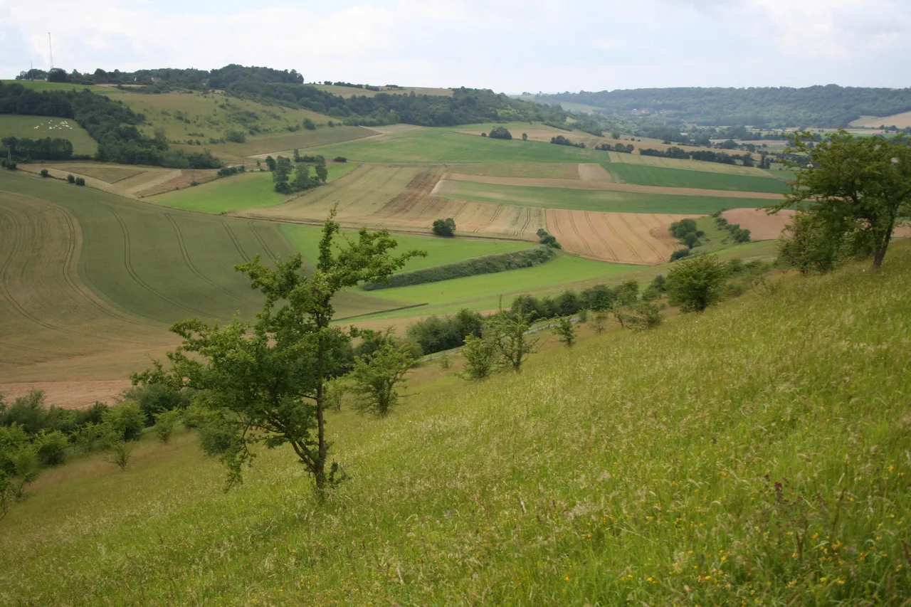 Photo showing: Réserve naturelle régionale des larris et tourbières de Saint-Pierre-es-Champs
