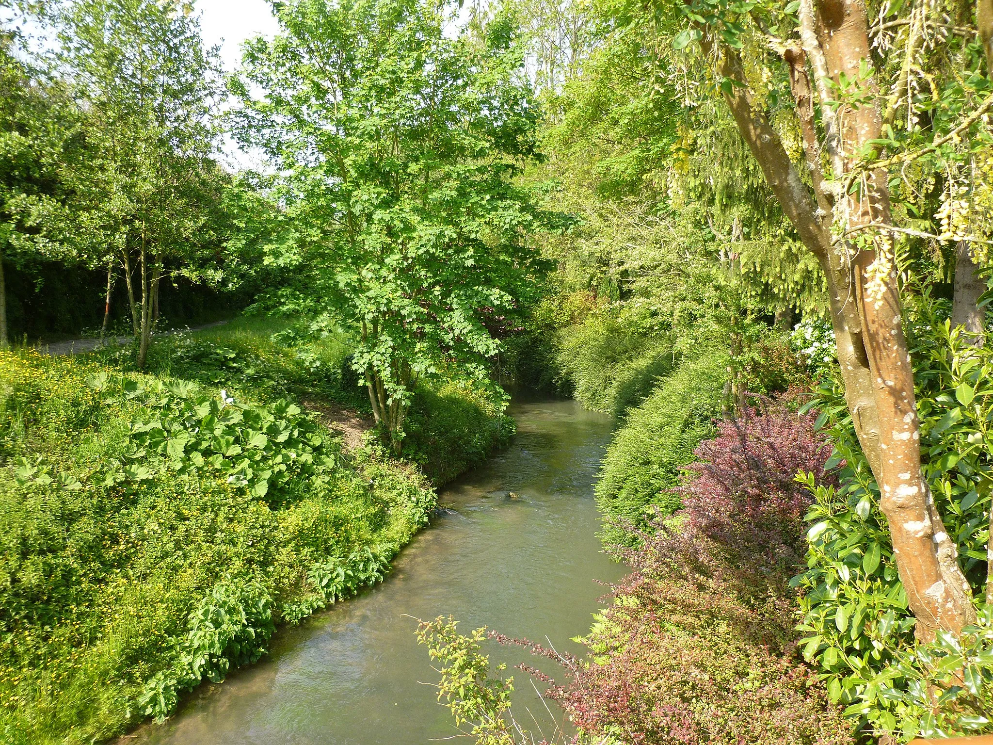 Photo showing: La Nièvre à Berteaucourt-les-Dames vue depuis la D12