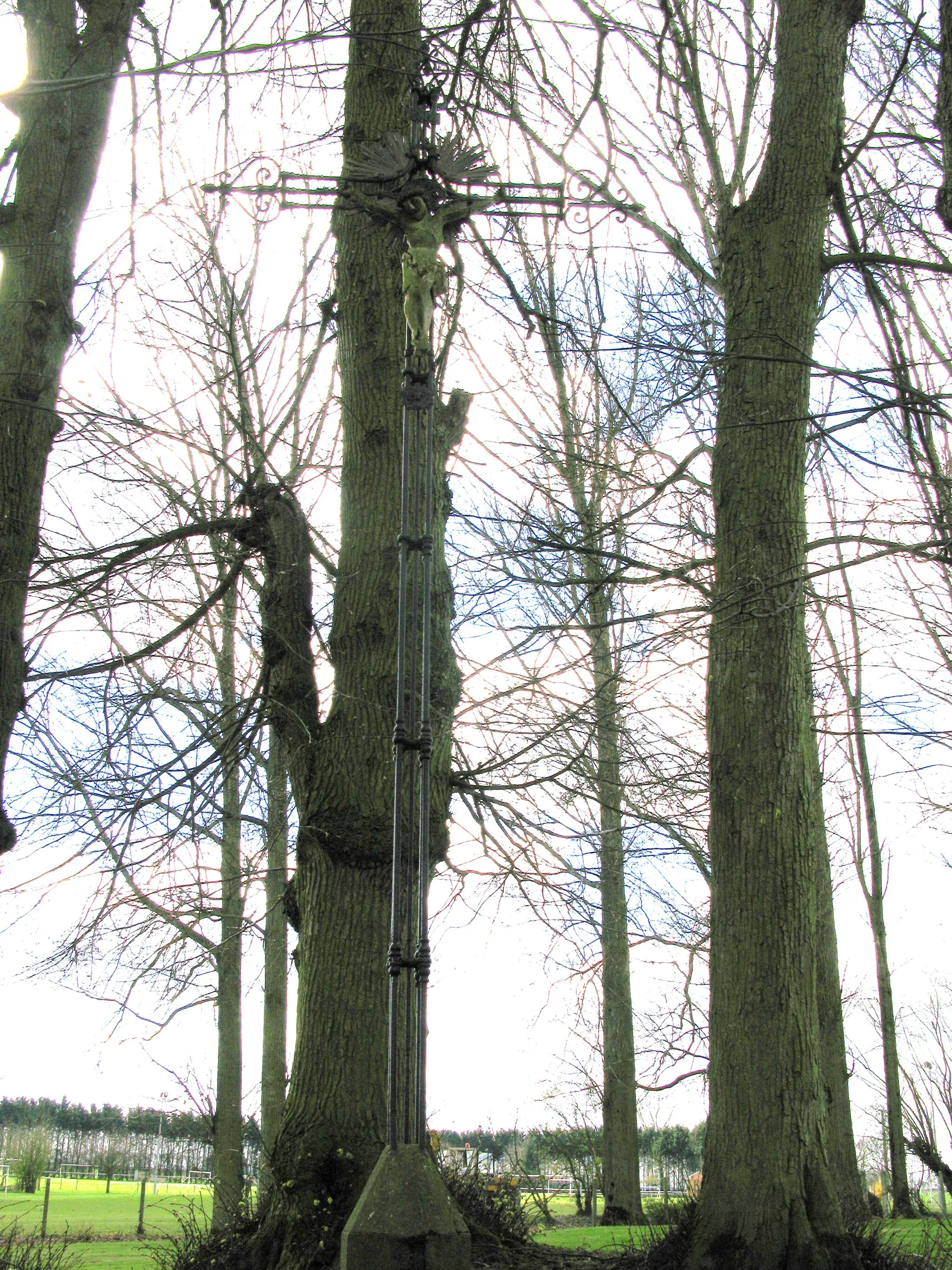Photo showing: Englebelmer (Somme, France) -
Le calvaire, dressé sur sa petite butte, est caché par les arbres, devant le stade, au Sud du village.
