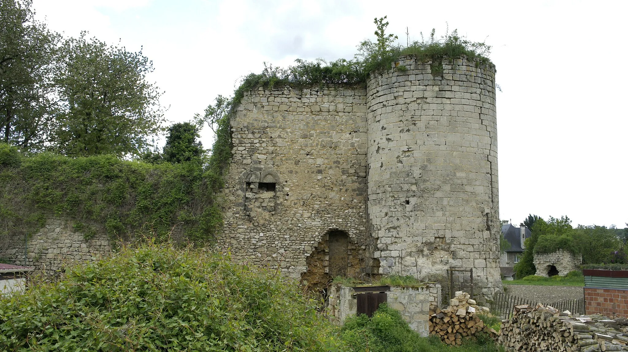 Photo showing: Vue des ruines du château .