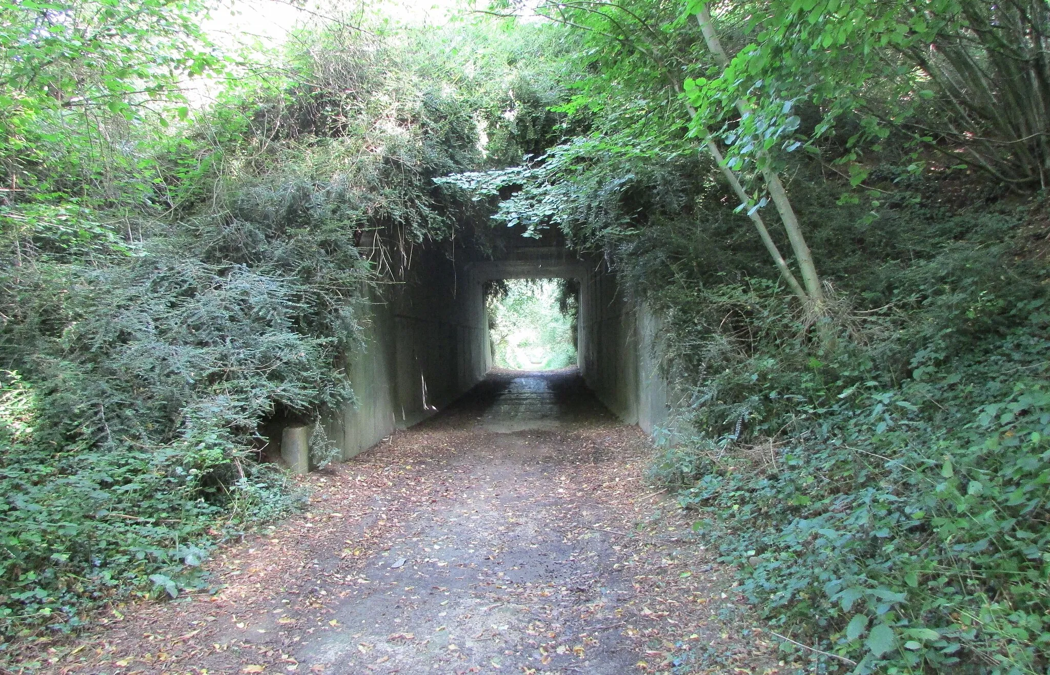 Photo showing: Le pont du chemin de fer