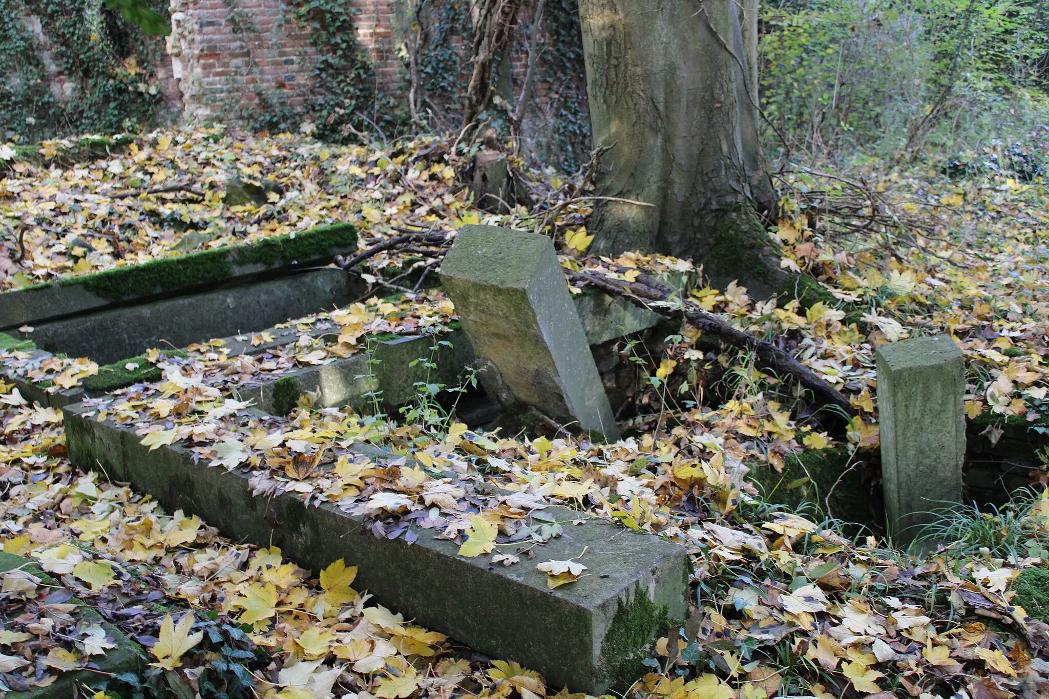 Photo showing: Saint-Martin-des-Prés Vestiges du cimetière