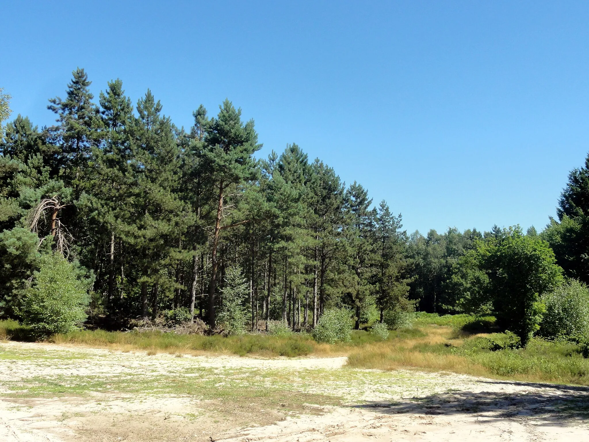 Photo showing: Carrefour des Bruyères.