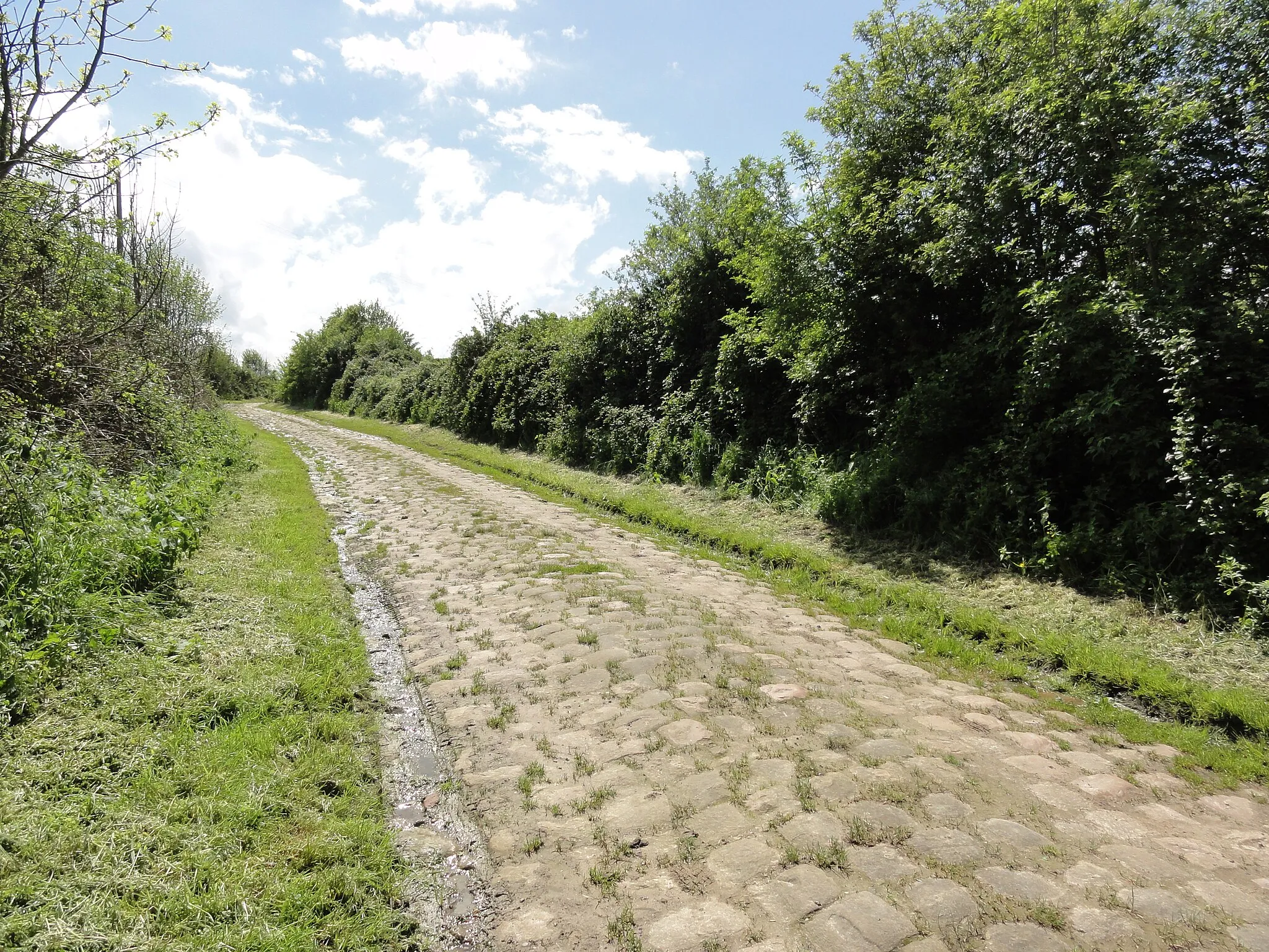 Photo showing: Deuillet (Aisne) chemin pavé