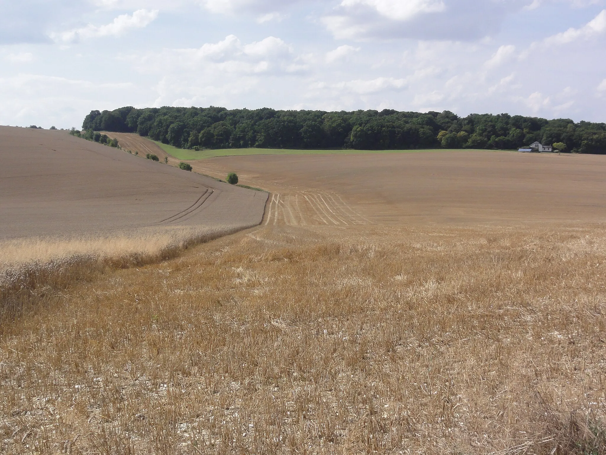 Photo showing: Le Verguier (Aisne) paysage