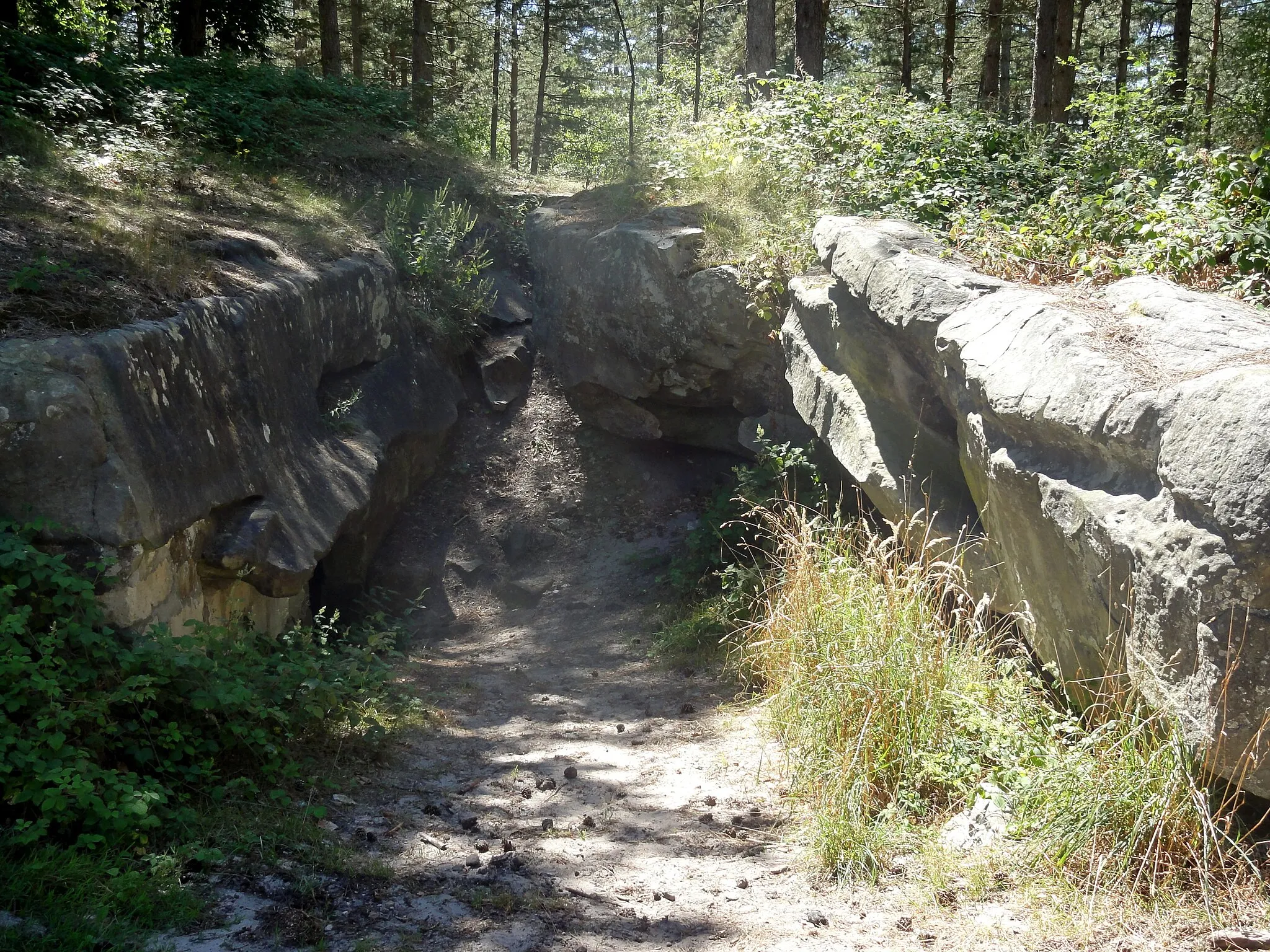 Photo showing: Près de la cave du diable, au sud de Vaumoise.