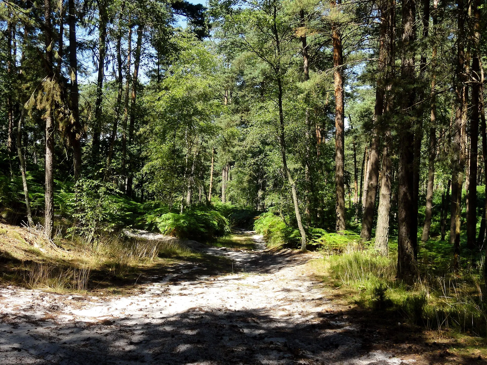 Photo showing: Près de la cave du diable, au sud de Vaumoise.