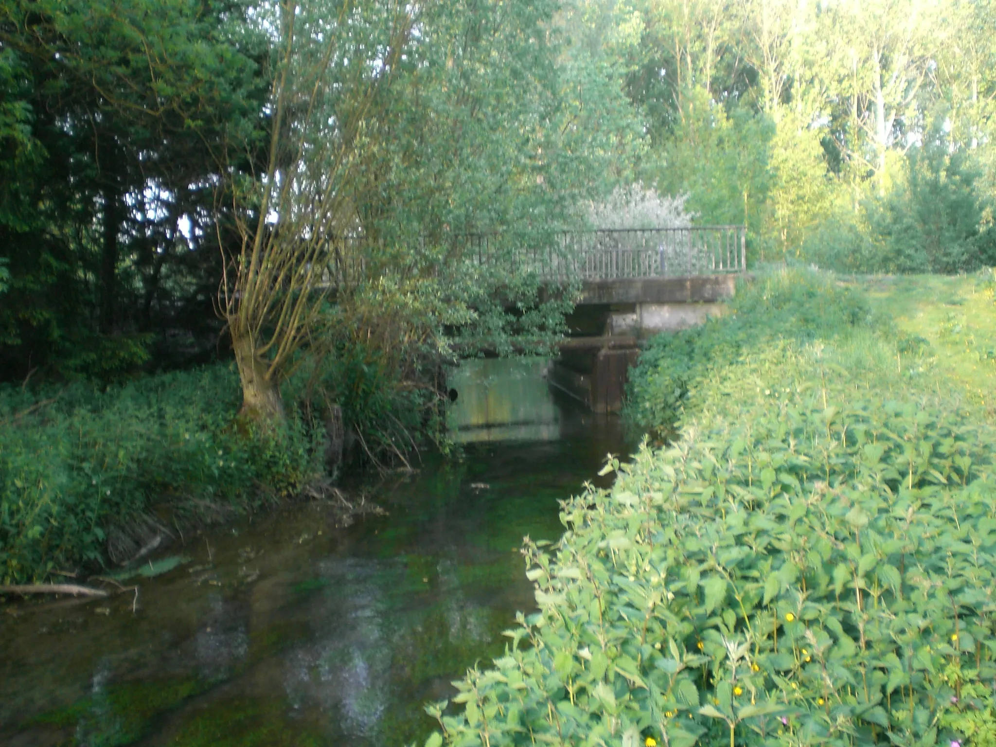 Photo showing: La Germaine à Sancourt en mai 2010