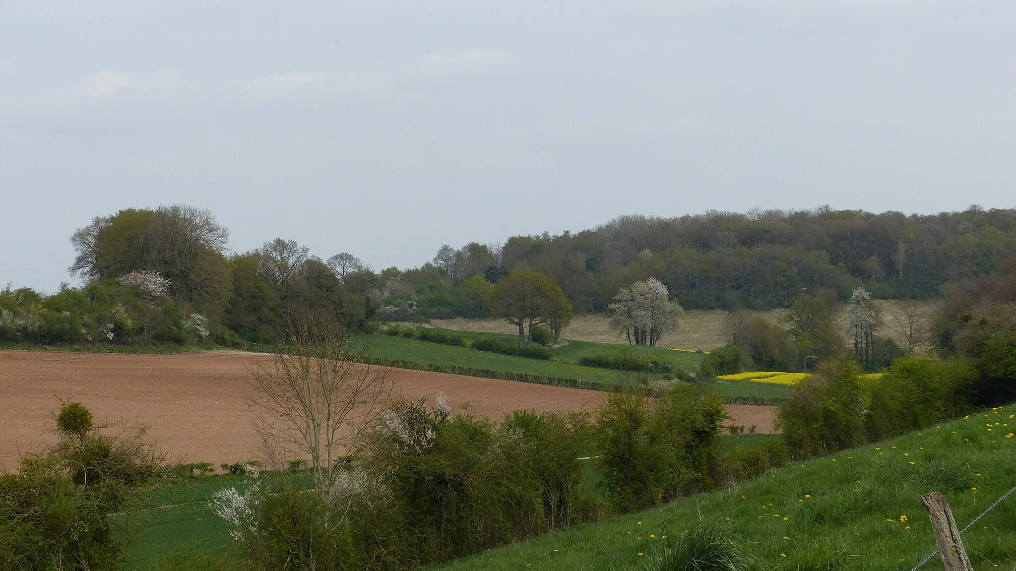Photo showing: Paysage de la vallée de Frettemolle à Brettencourt au printemps