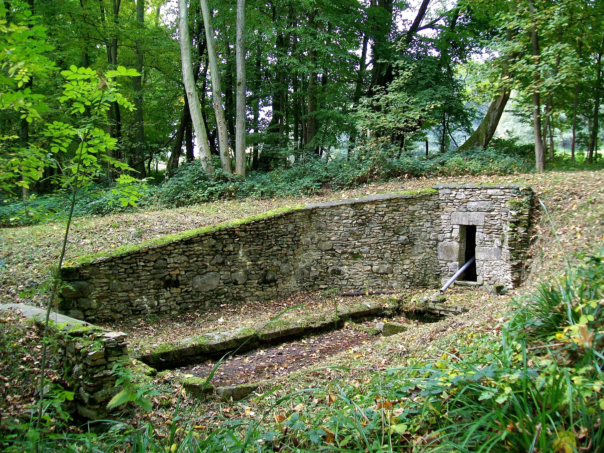 Photo showing: La fontaine Aubert à proximité immédiate du massif forestier d'Halatte, au nord de la commune de Villers-St-Frambourg (60) et à 1.700 m du centre du village. Cette fontaine a la particularité d'être aménagée comme lavoir. Elle est généralement comptée parmi les fontaines de la Forêt d'Halatte.