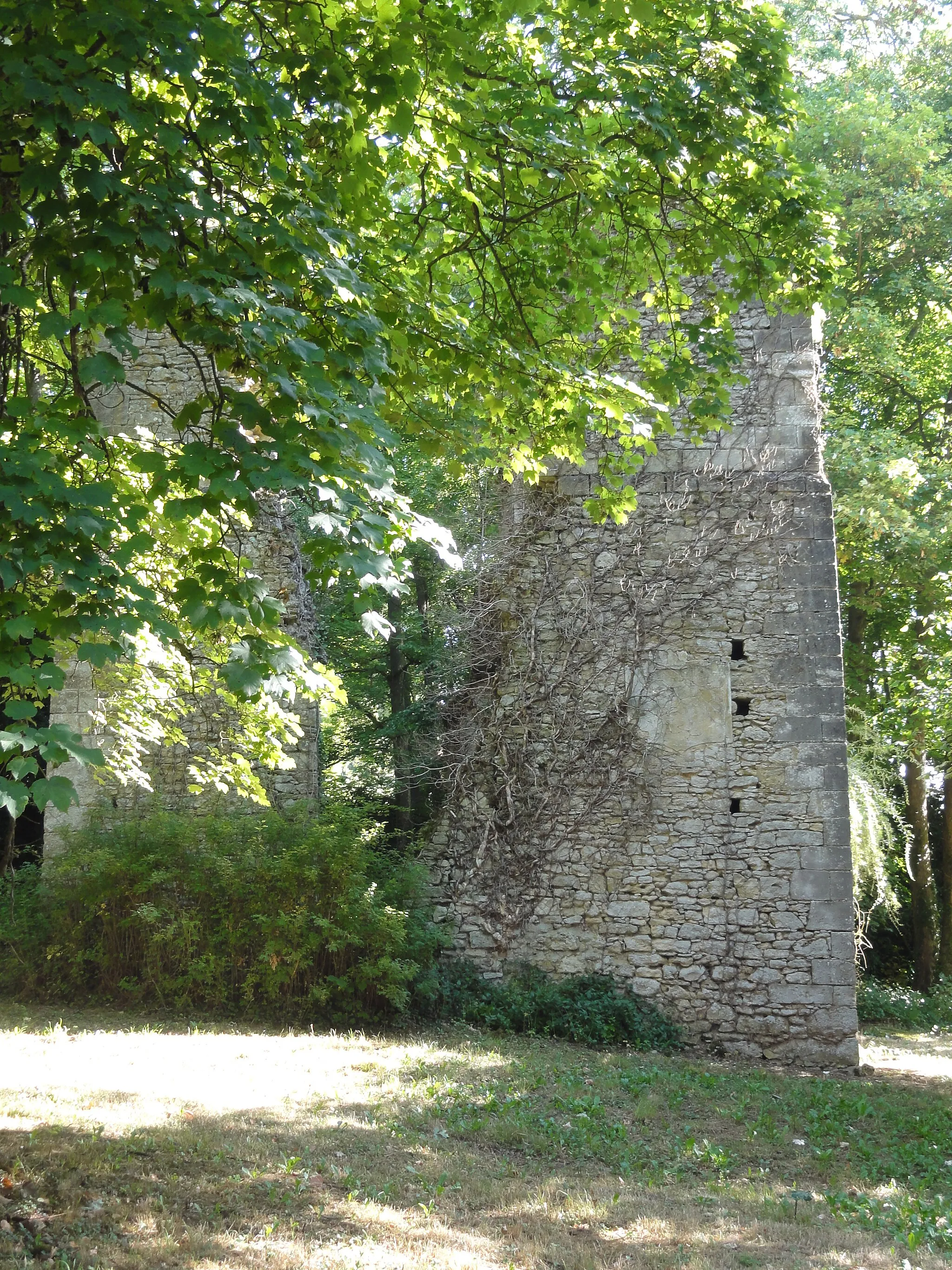 Photo showing: Commune d'Omerville (voir titre).