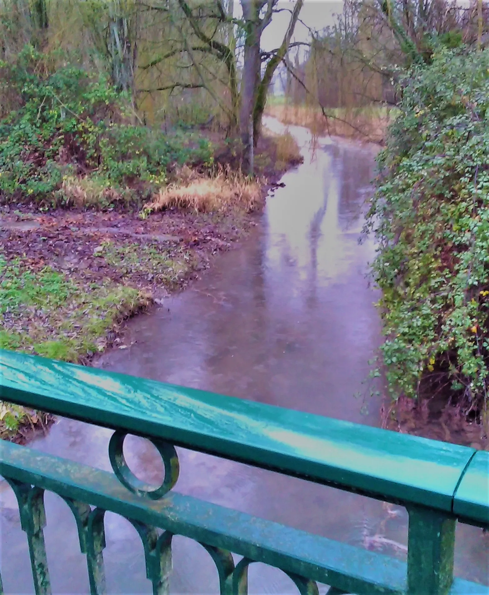 Photo showing: La rivière Bonde, affluent de la Levrière.