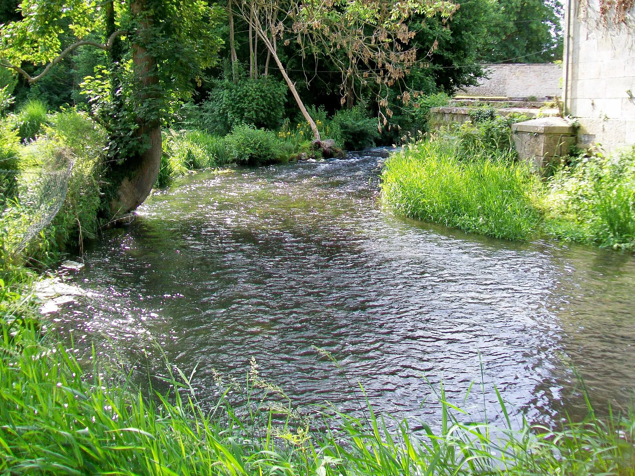 Photo showing: La Nonette à l'ancien moulin d'Avilly.