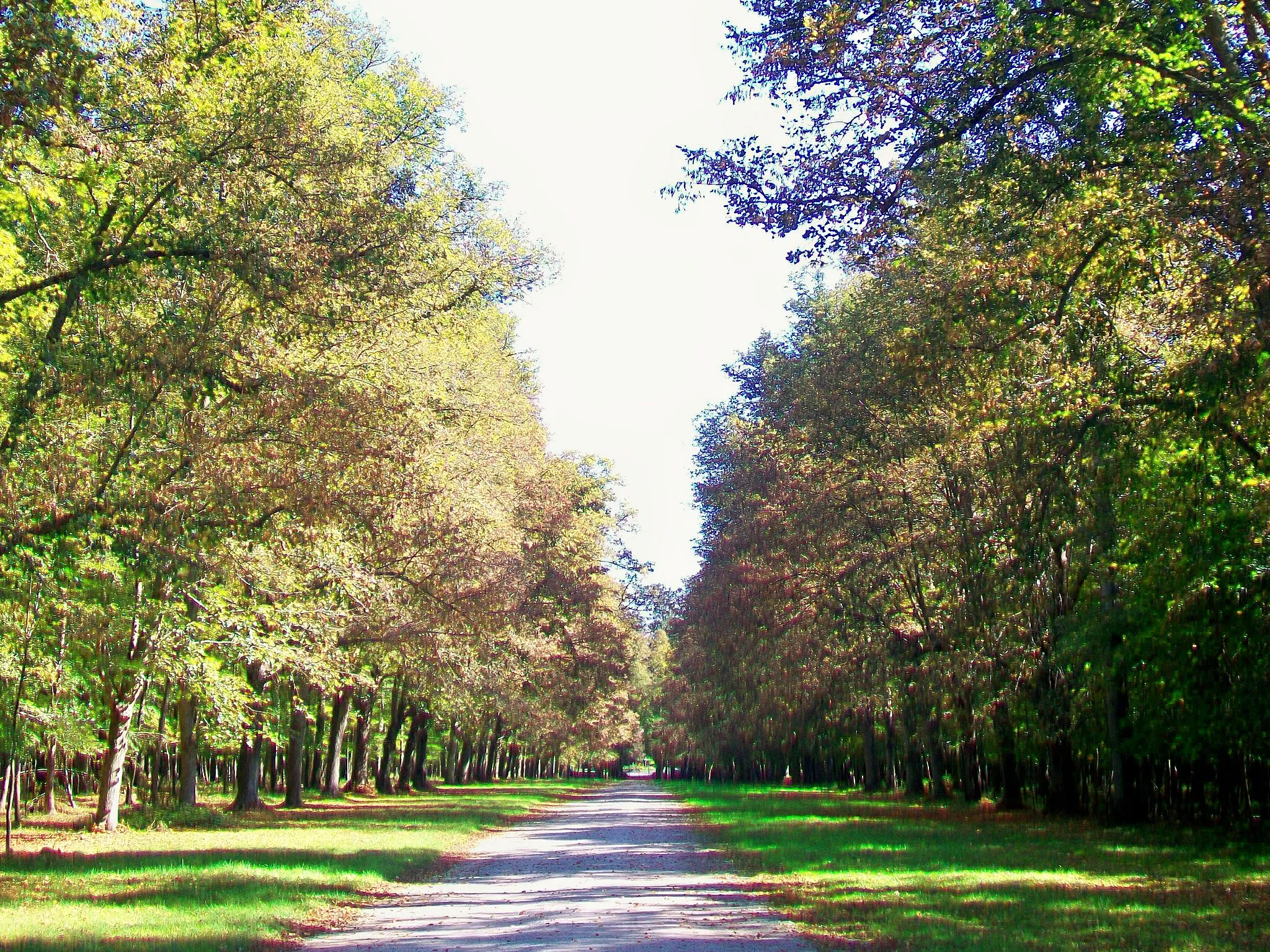 Photo showing: Au Petit Parc, la route d'Avilly, principal chemin du secteur, près de la grille d'Avilly à l'est.