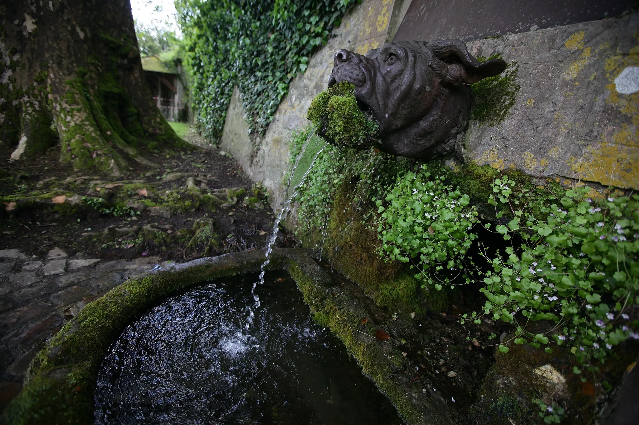 Photo showing: Marines of 5th Marine Regiment, 1st Marine Division had the opportunity to drink from the Devil Dog Fountain in the Chateau of Belleau, France, May 26. The Devil-Dog Fountain in Belleau, France has become a symbol of lore for the United States Marine Corps. When Marines took Belleau Wood in June 1918, they had only recently become known as the Teufelhunden, "devil dogs" by their enemy. It was shortly after the battle that the Marines entered the town of Belleau to be greeted by the fountain and the cold, clean natural water it produced. To this day, Marines travel to this place to visit and drink from the fountain. (Official Marine Corps photo by: Cpl. Daniel A. Wulz)