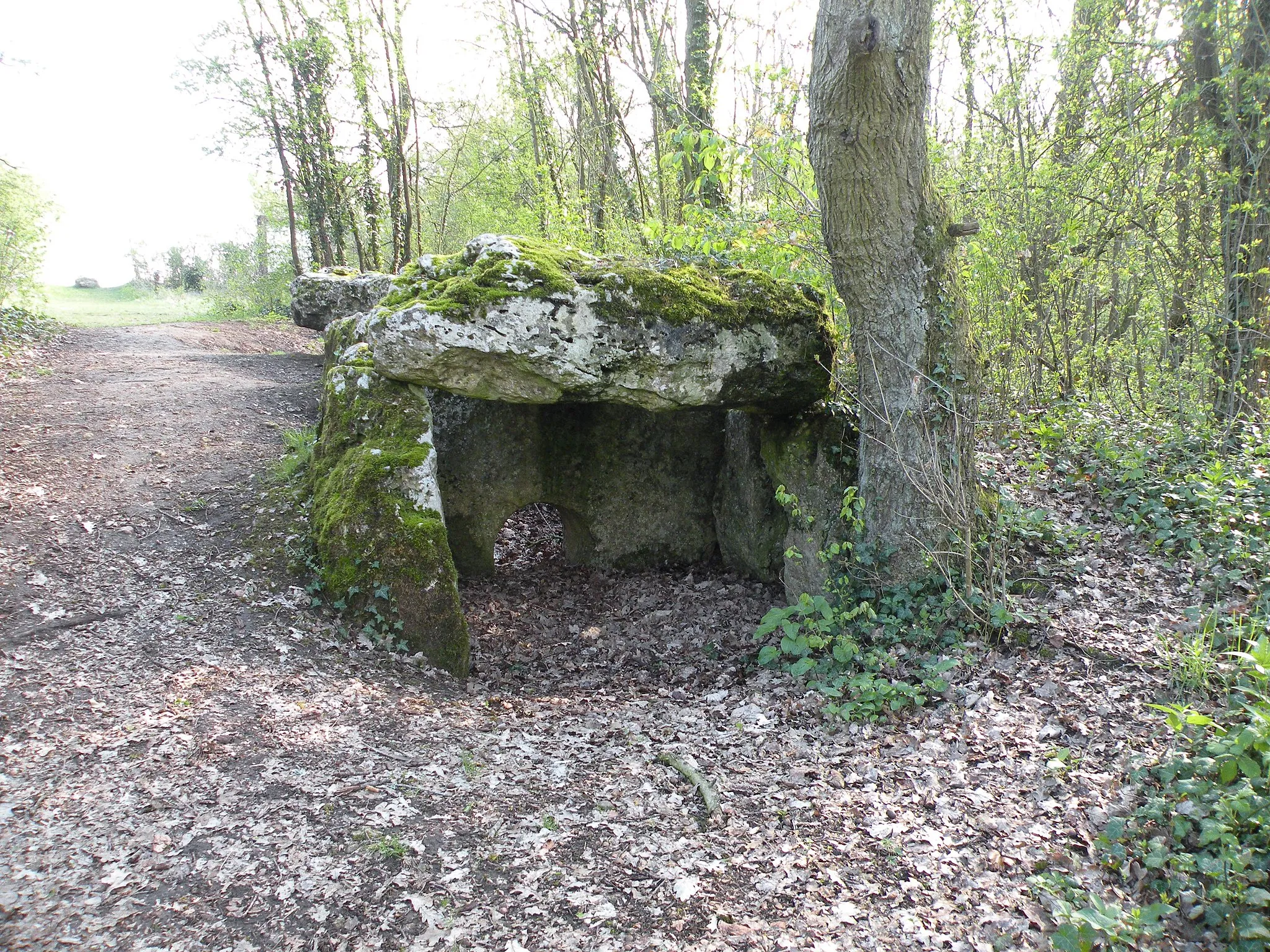 Photo showing: Dolmen de la Pierre aux Fées