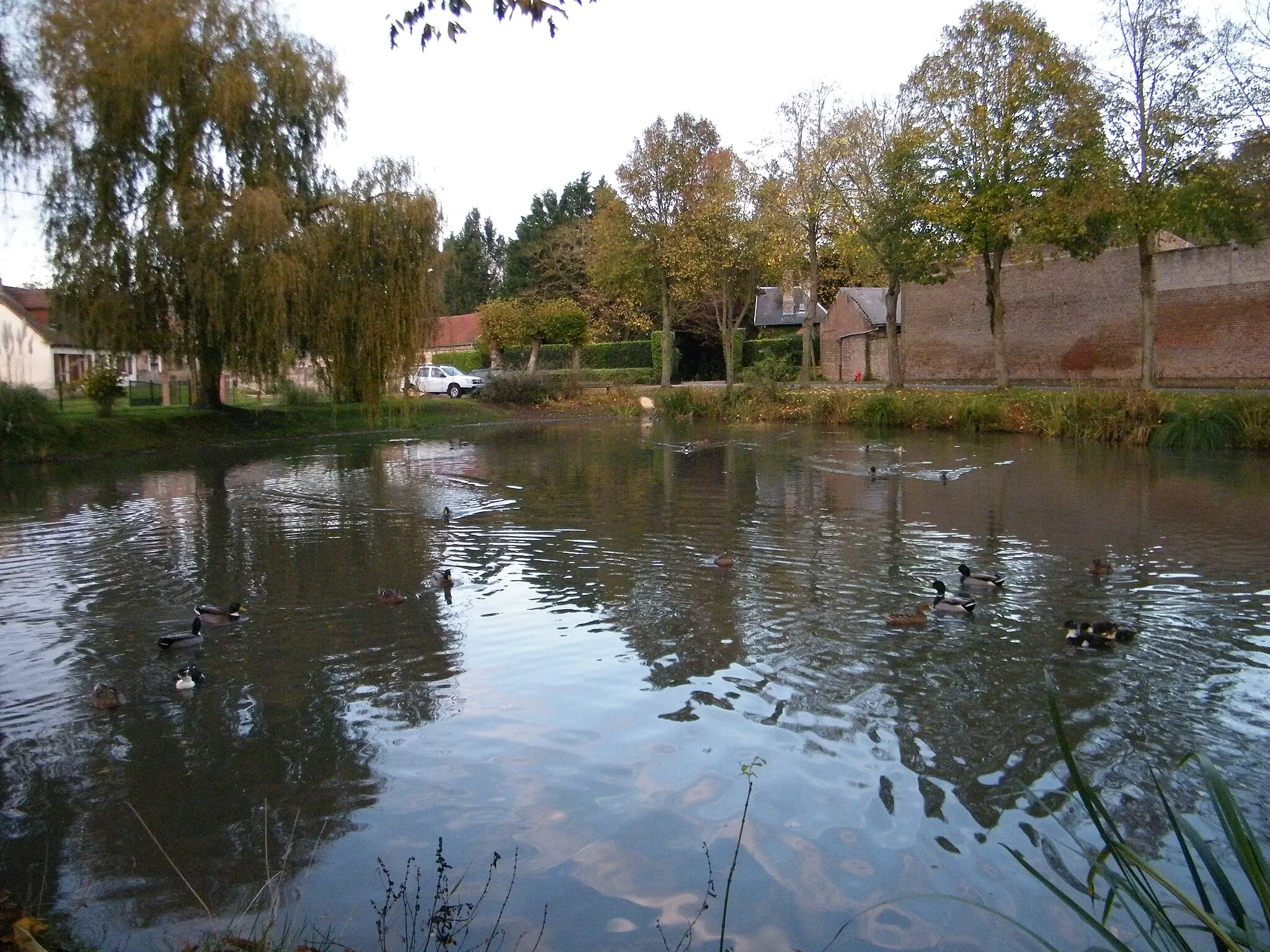 Photo showing: Mare communale à Guignemicourt, Somme, France.