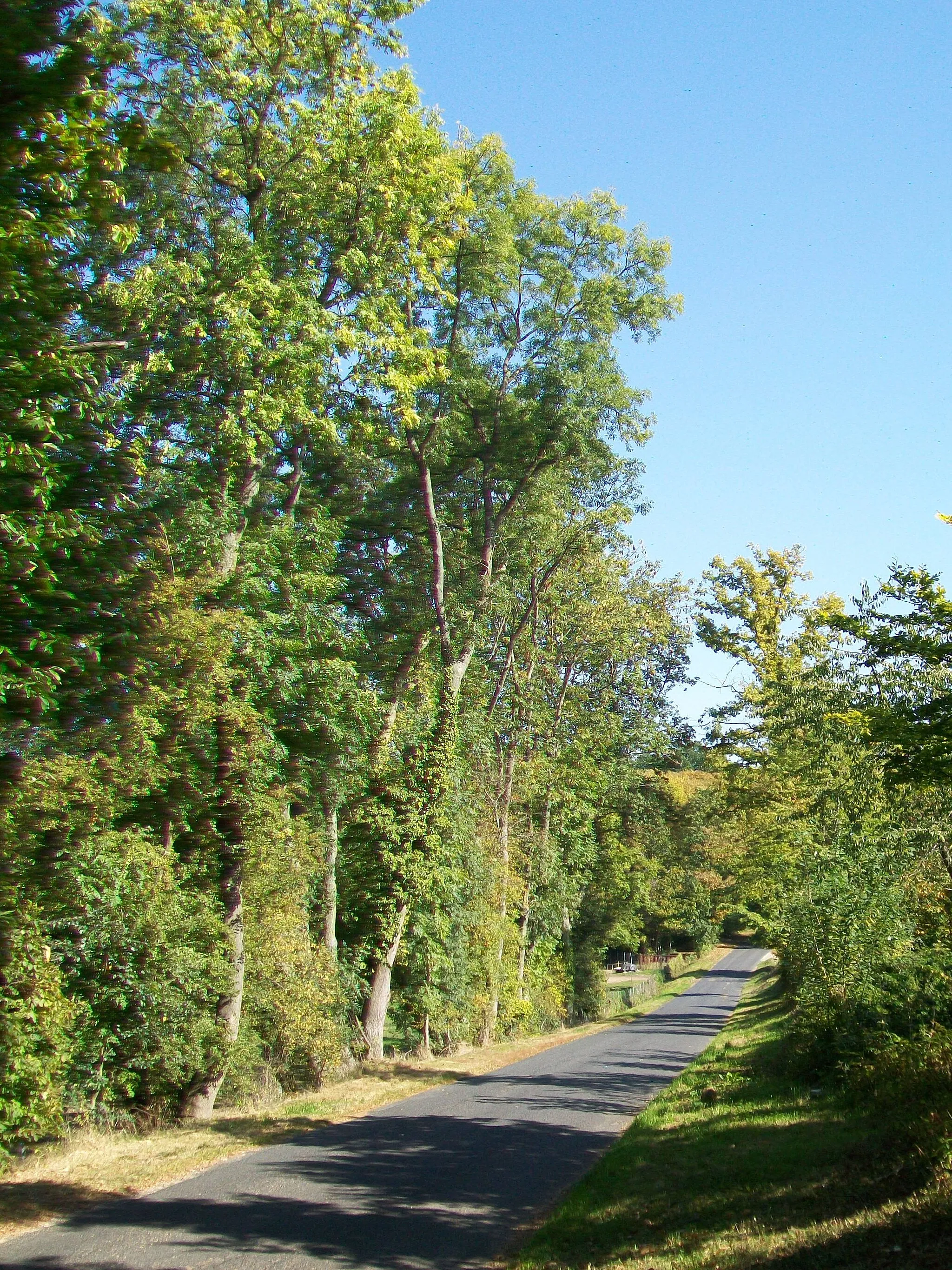 Photo showing: La rue de la Croix Frileuse (voie communale n° 3), après la sortie du village en direction de Chauvry.