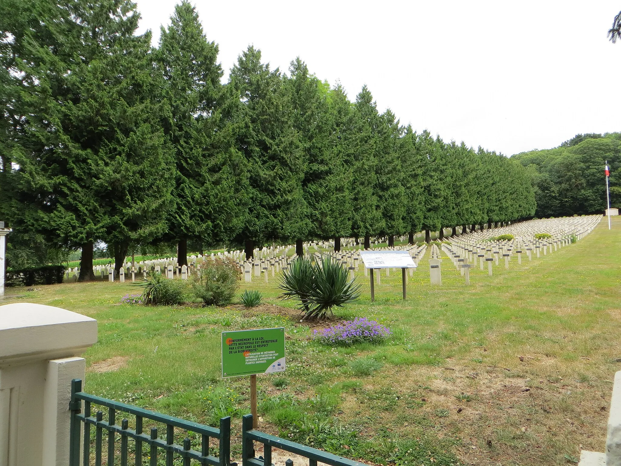 Photo showing: Vue générale de la nécropole