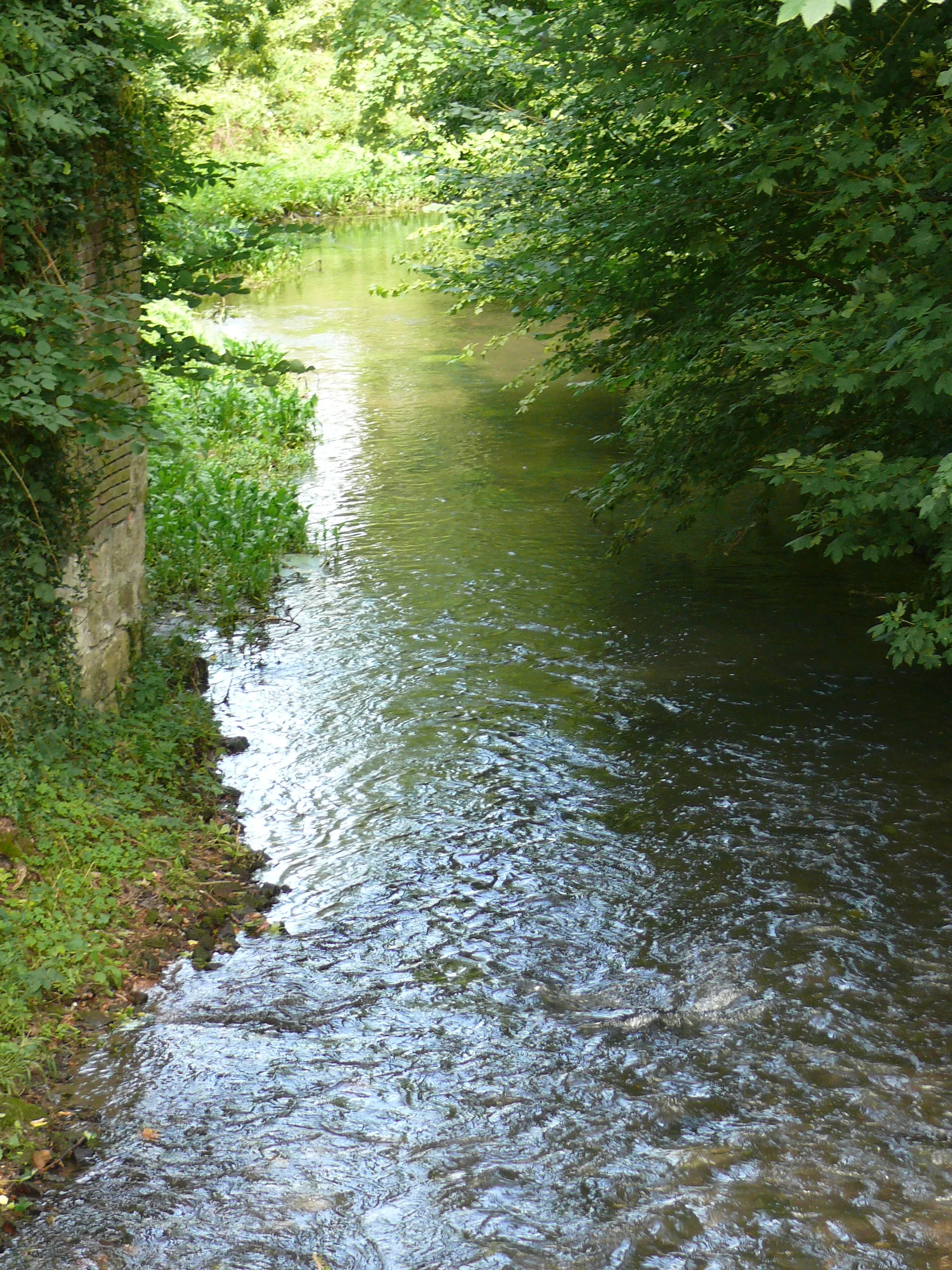 Photo showing: La rivière des Trois Doms à Bouillancourt-la-Bataille (Somme - Picardie - France)