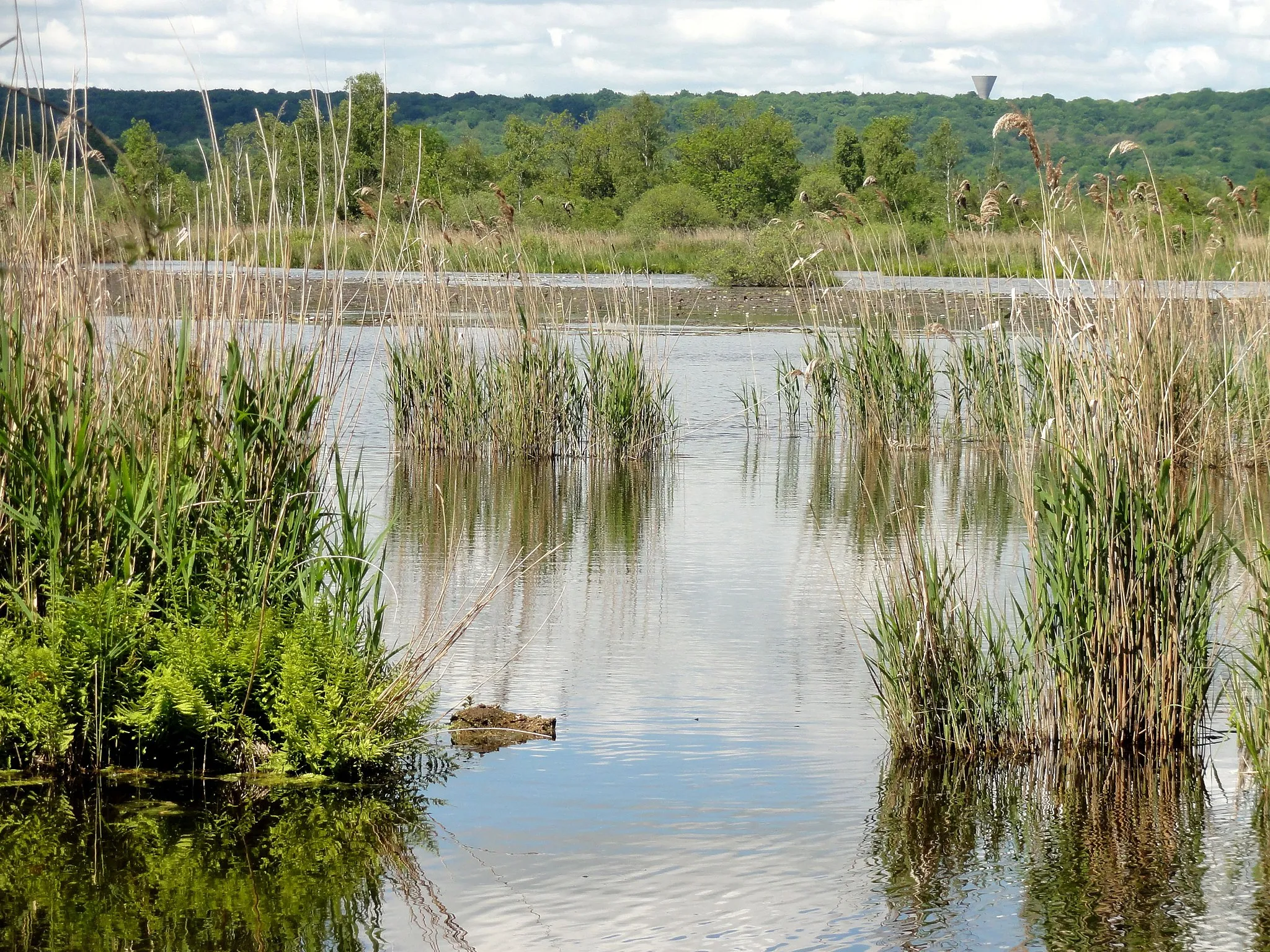 Photo showing: Marais de Cinqueux.