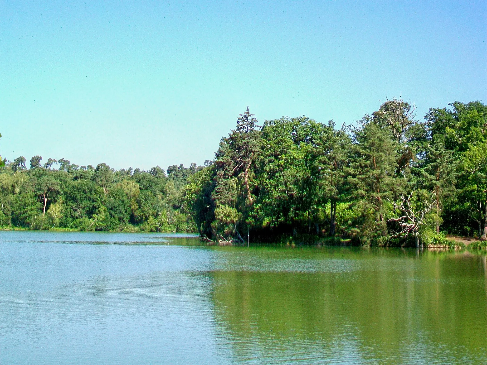 Photo showing: L'étang du Désert avec la presqu'île où se situait la cabane du pêcheur, vu depuis la RN 330.