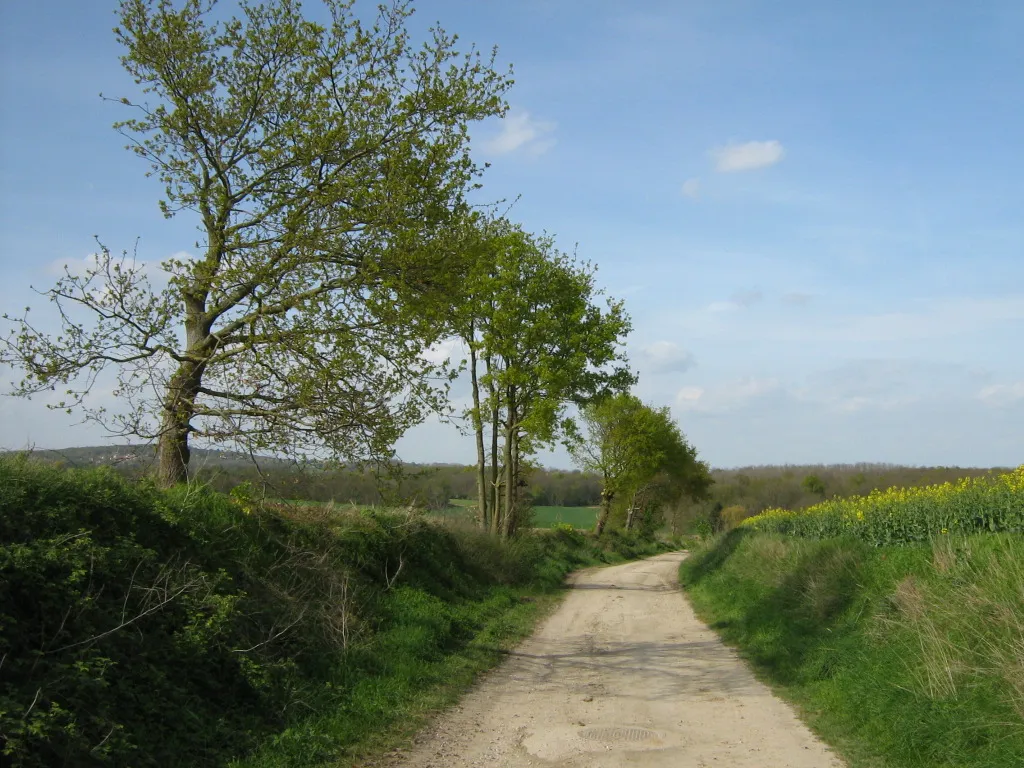 Photo showing: Sentier situé au Nord de Génicourt, à proximité de la forêt séparant Génicourt et Livilliers.