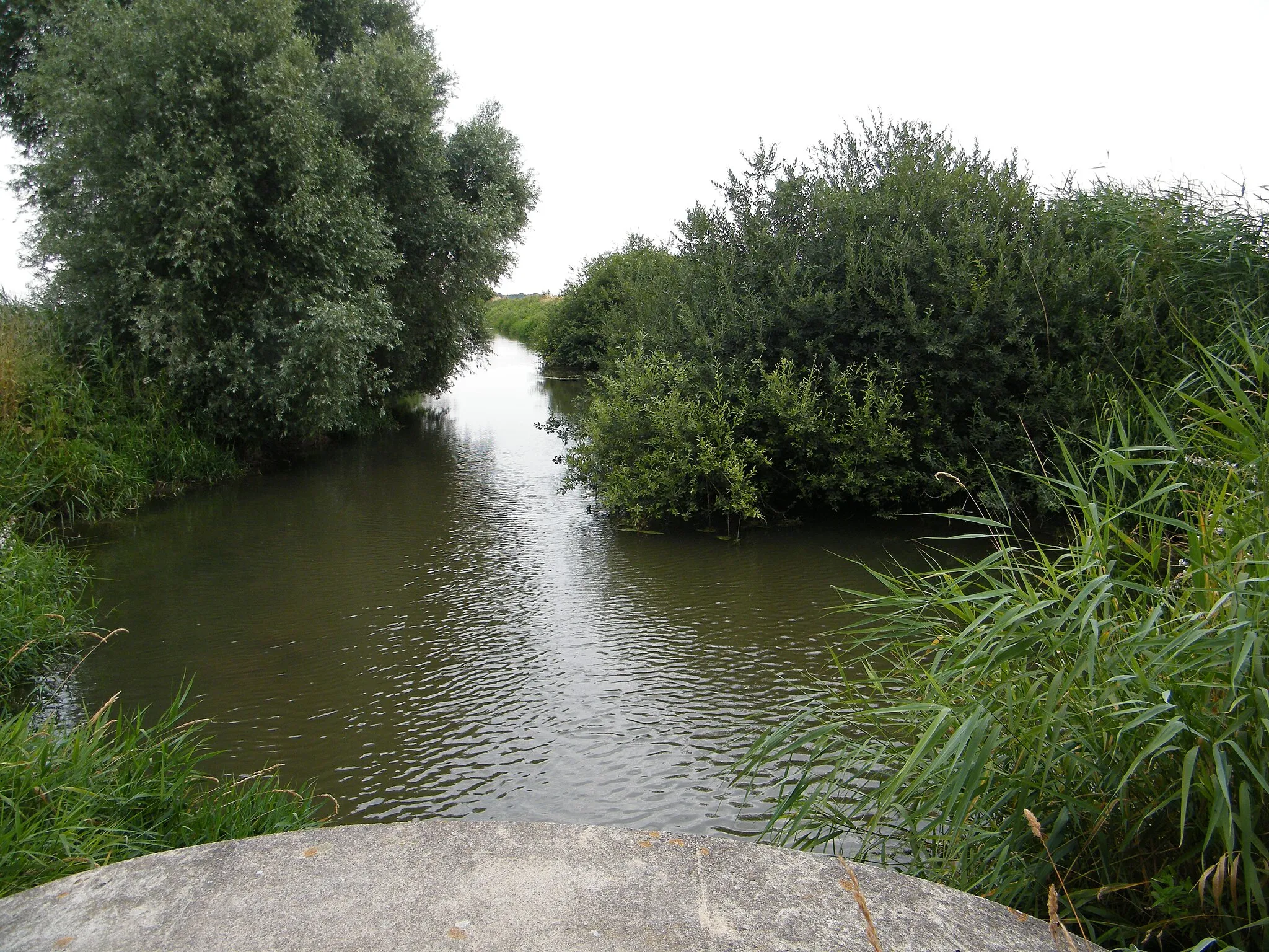 Photo showing: St-Quentin-en-Tourmont, Somme, la Maye. Le canal de drainage, après le pont sur la RD 204, axe St-Firmin - St-Quentin.